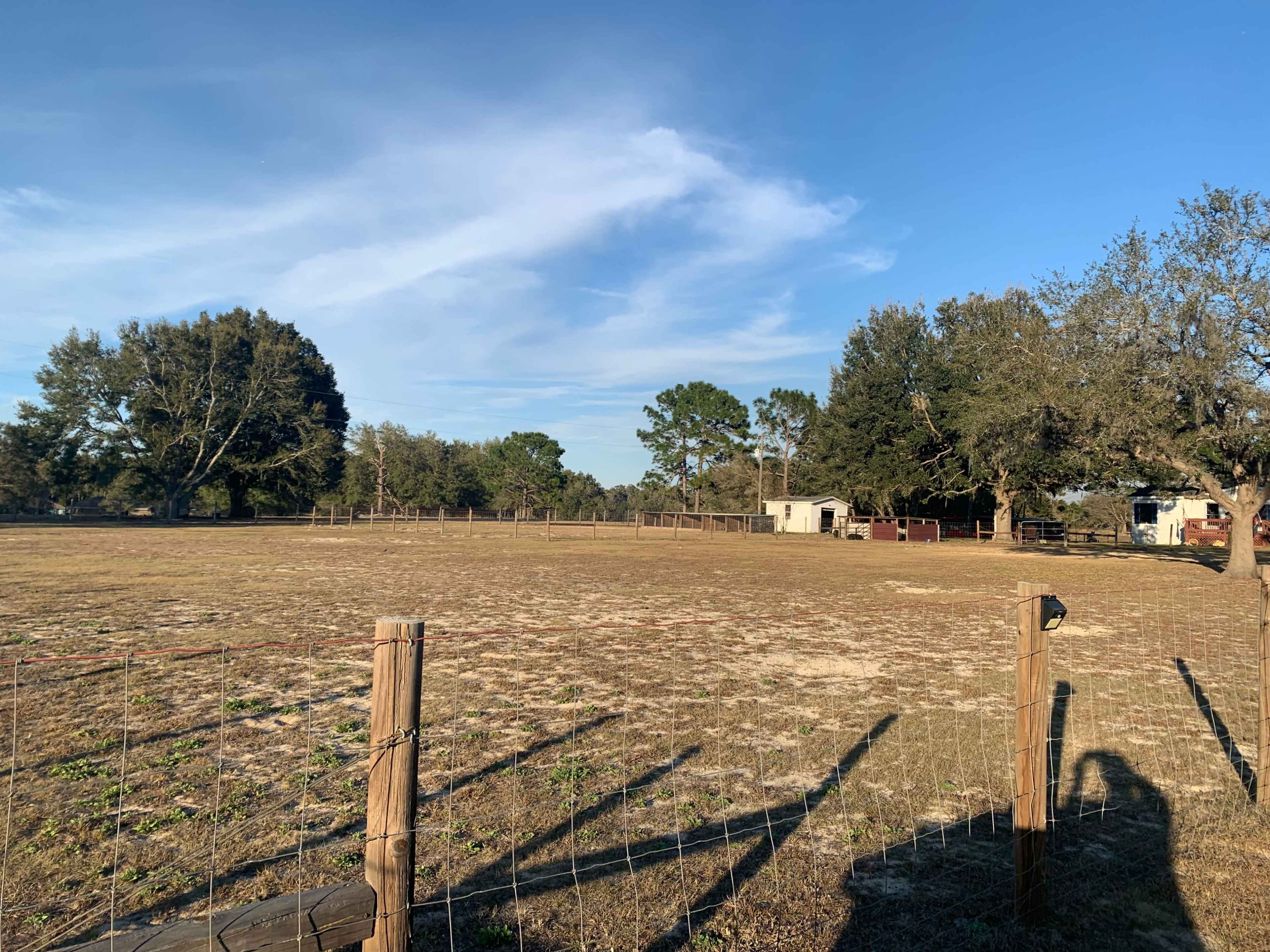 A fenced open field with sparse vegetation and trees, alongside a small building in the distance under a clear blue sky.
