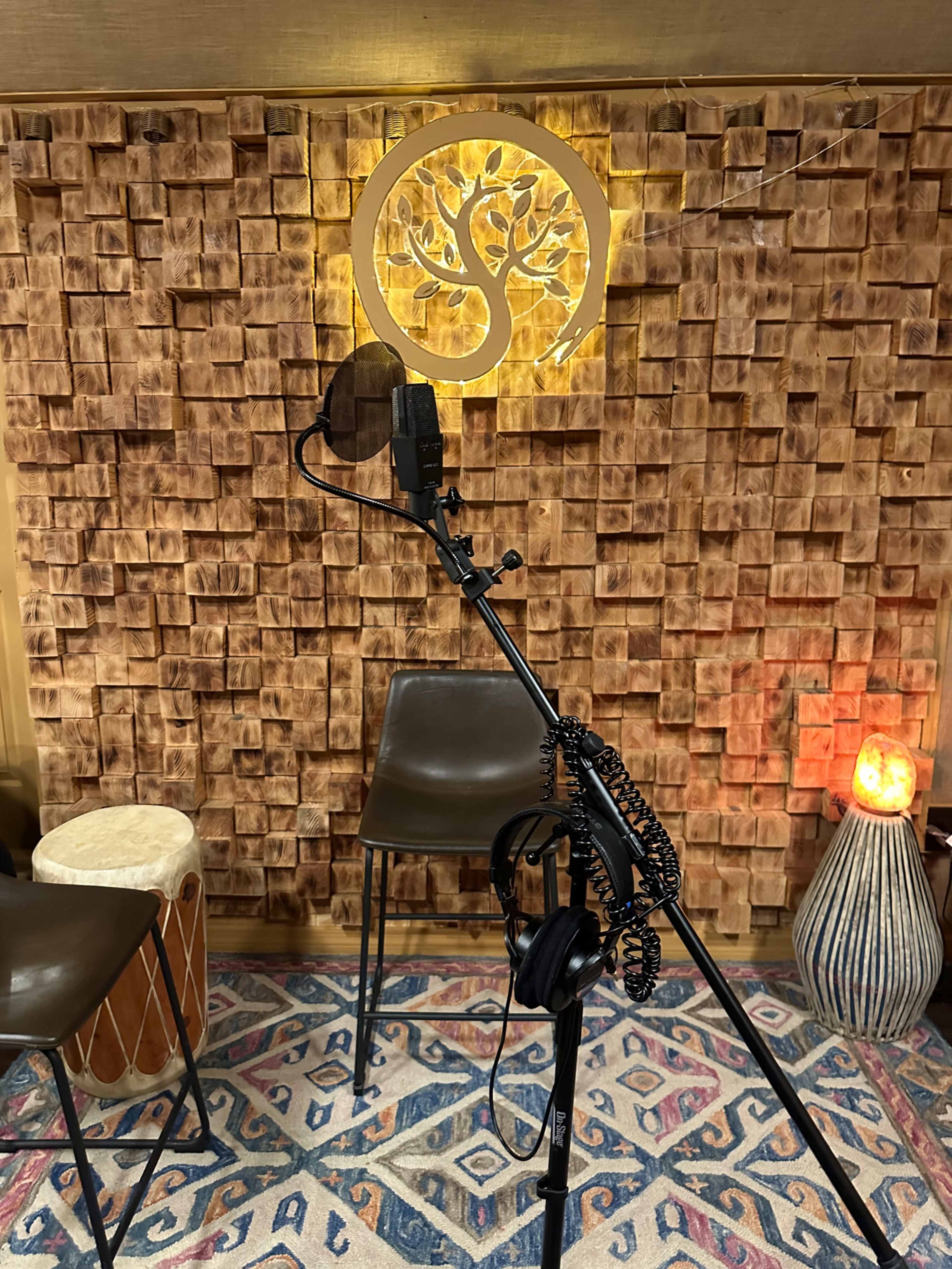 A microphone on a stand with a backdrop of textured wooden panels, two empty chairs, and a decorative lamp.