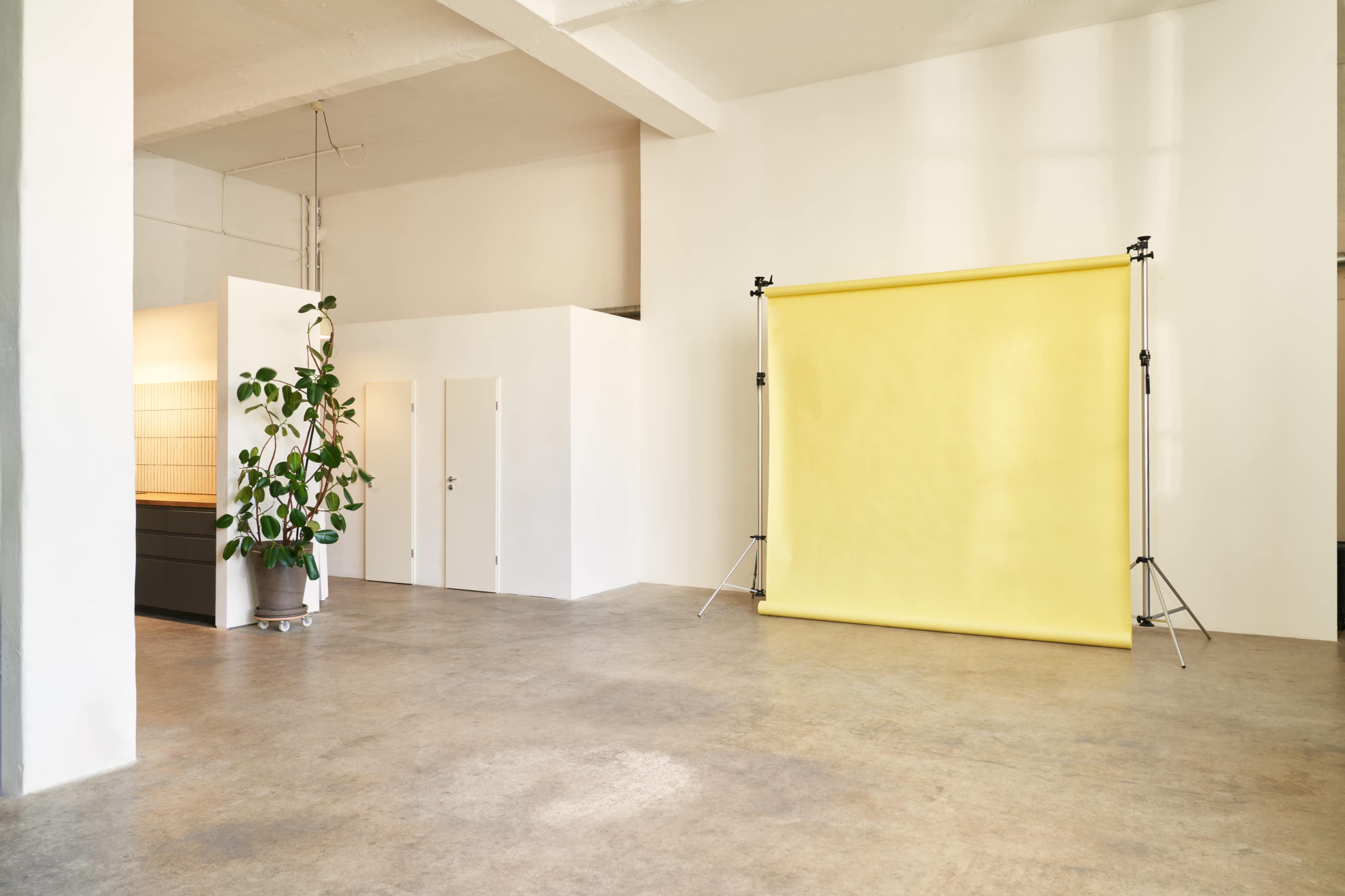 A spacious, minimalist studio with a yellow backdrop set up against a white wall, alongside a potted plant.