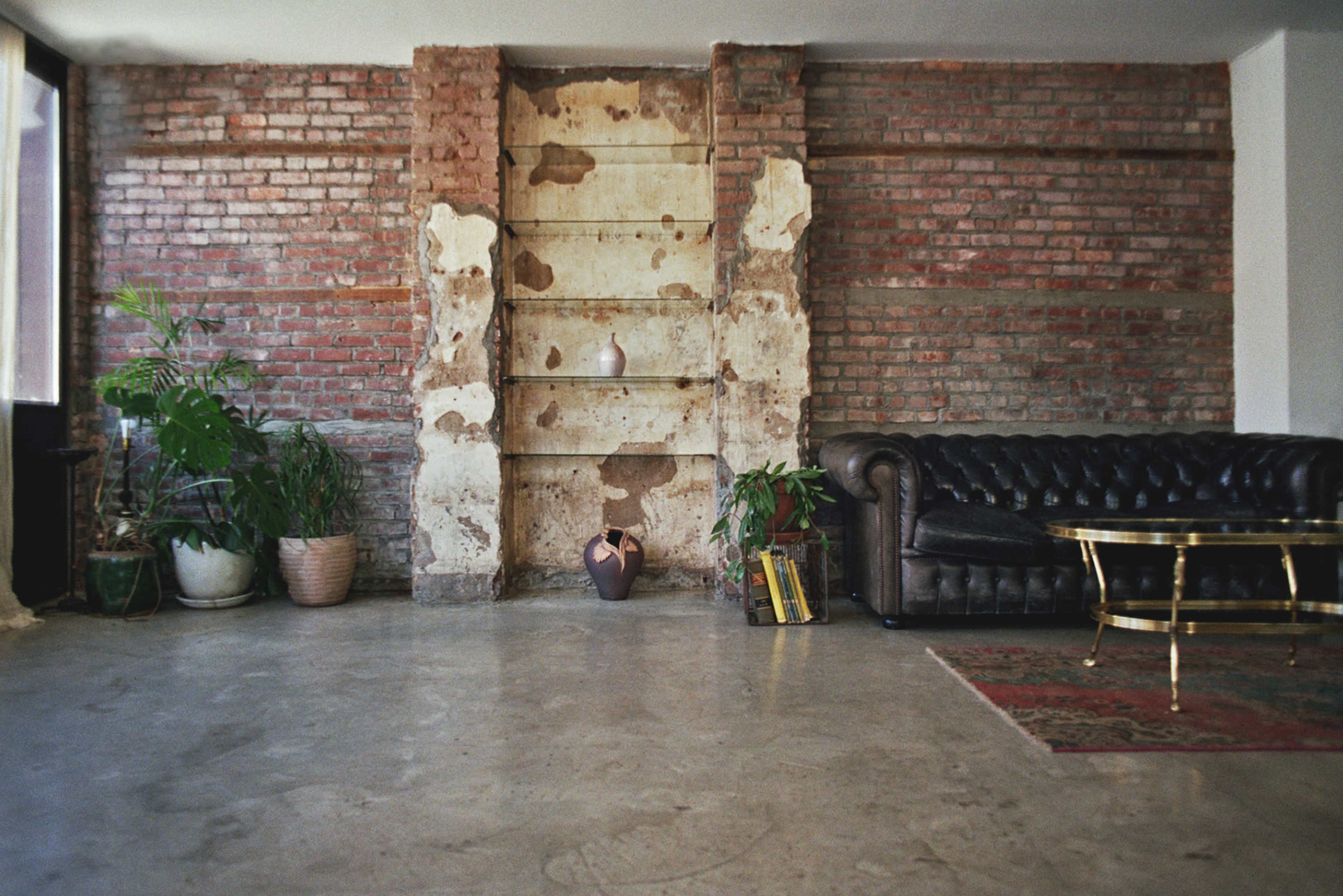 The image depicts an interior space with a brick wall, a black leather couch, potted plants, and a decorative shelf.