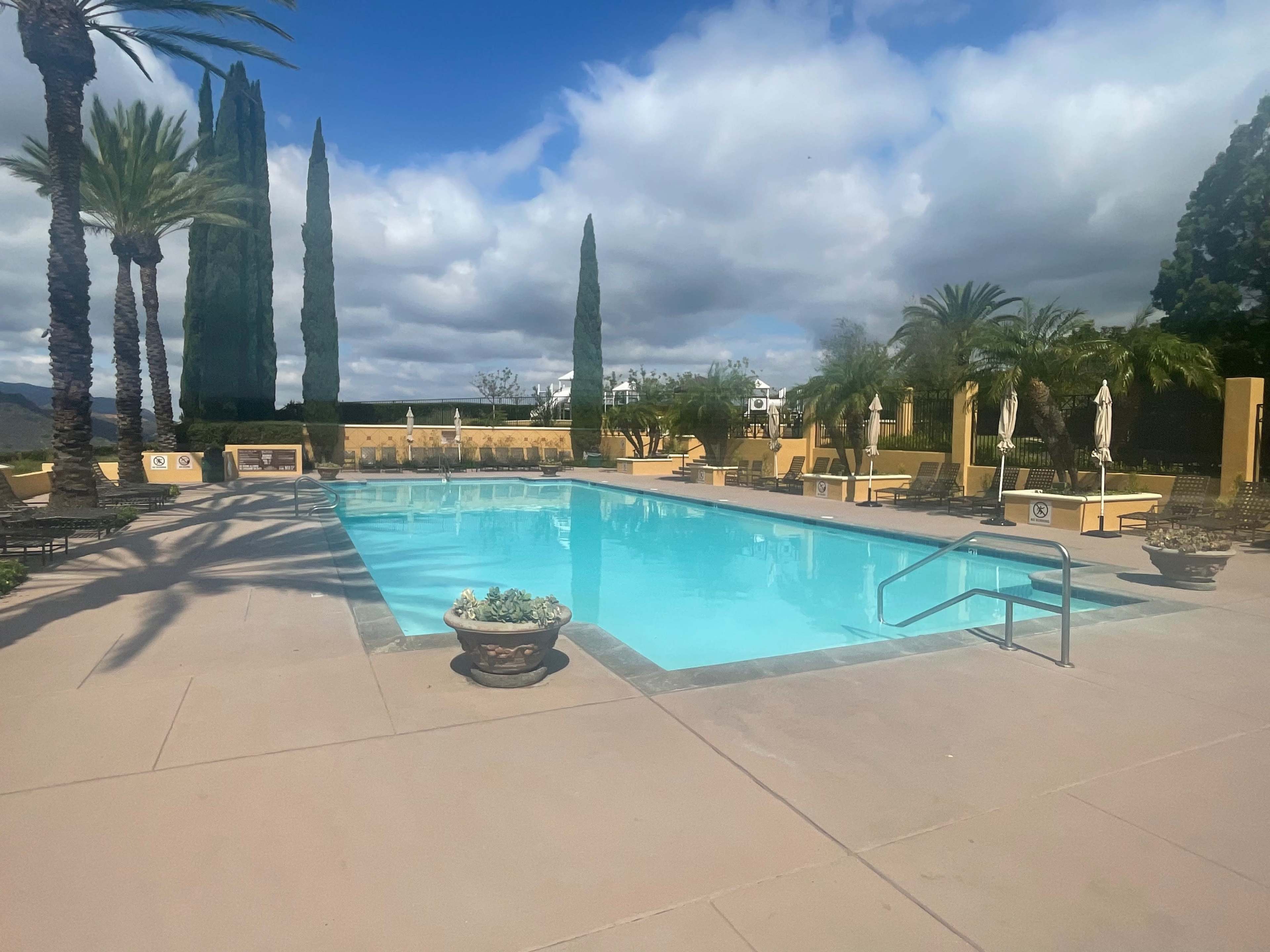 A rectangular swimming pool is surrounded by palm trees and tall cypress trees, with lounge chairs and umbrellas arranged around the perimeter.
