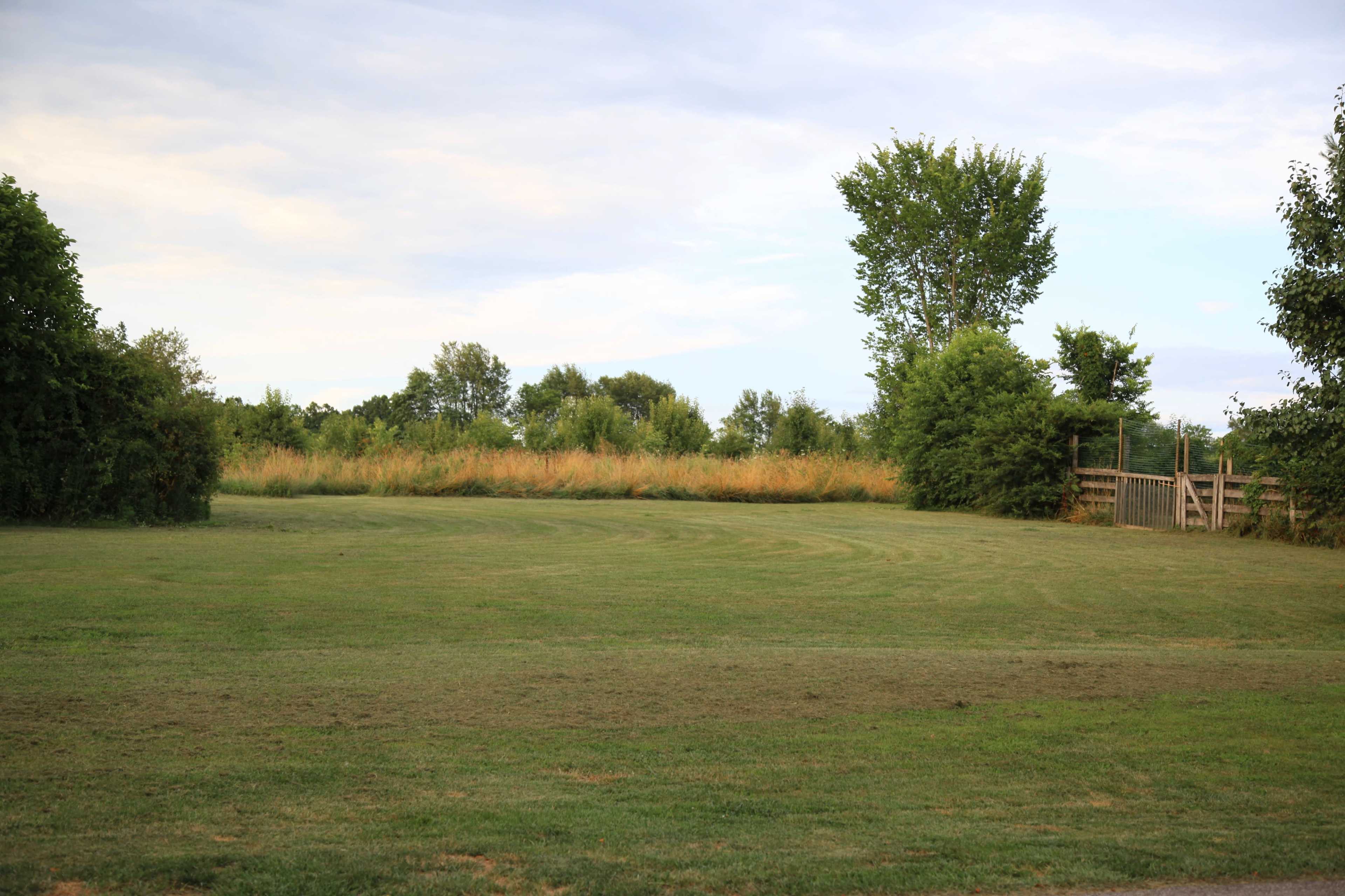 A wide open grassy area is bordered by trees and a fence, with a field of tall grass in the background.