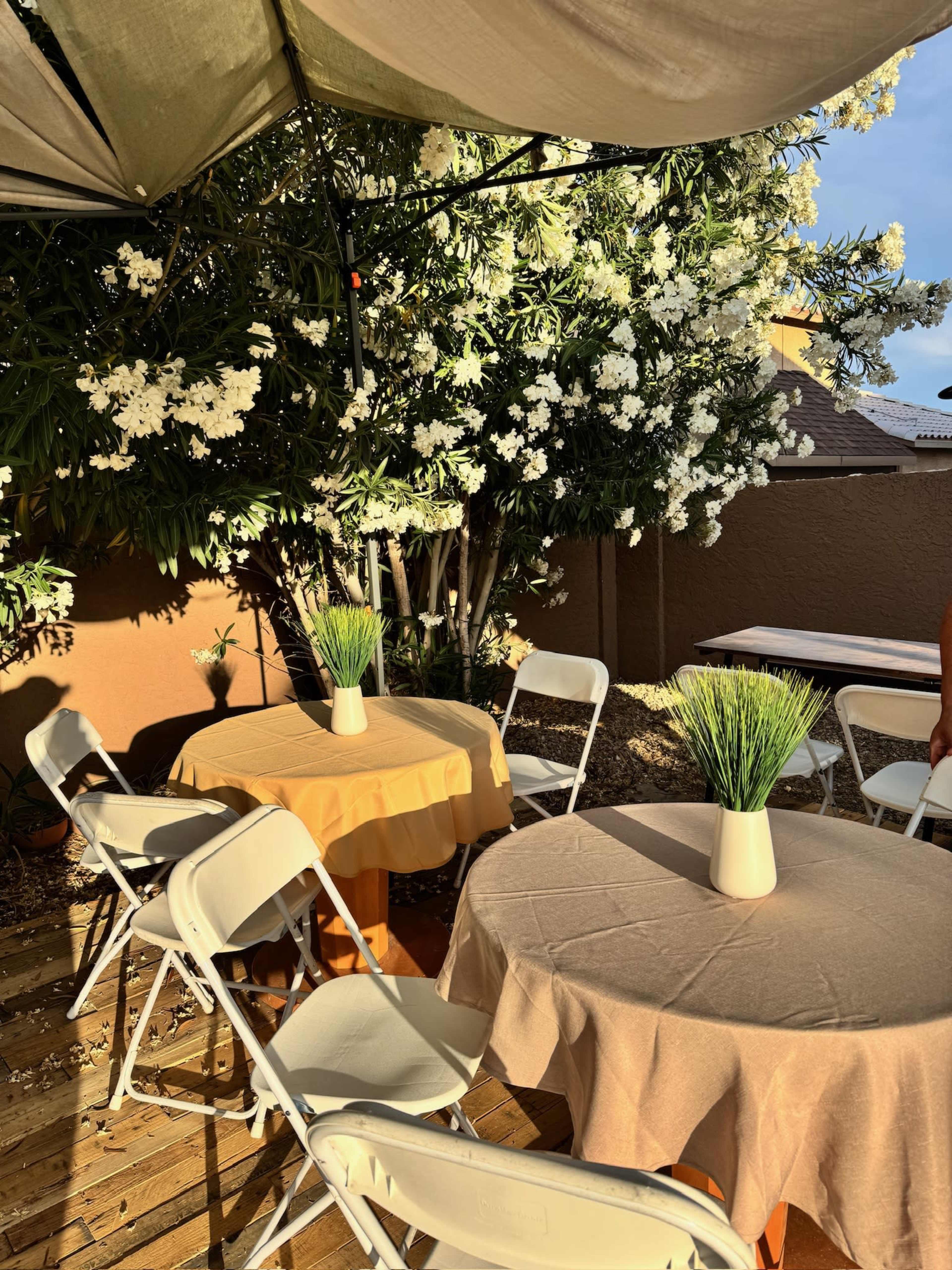 Tropical Backyard Oasis with Pool for Events Image in Centennial Hills, Las Vegas, NV