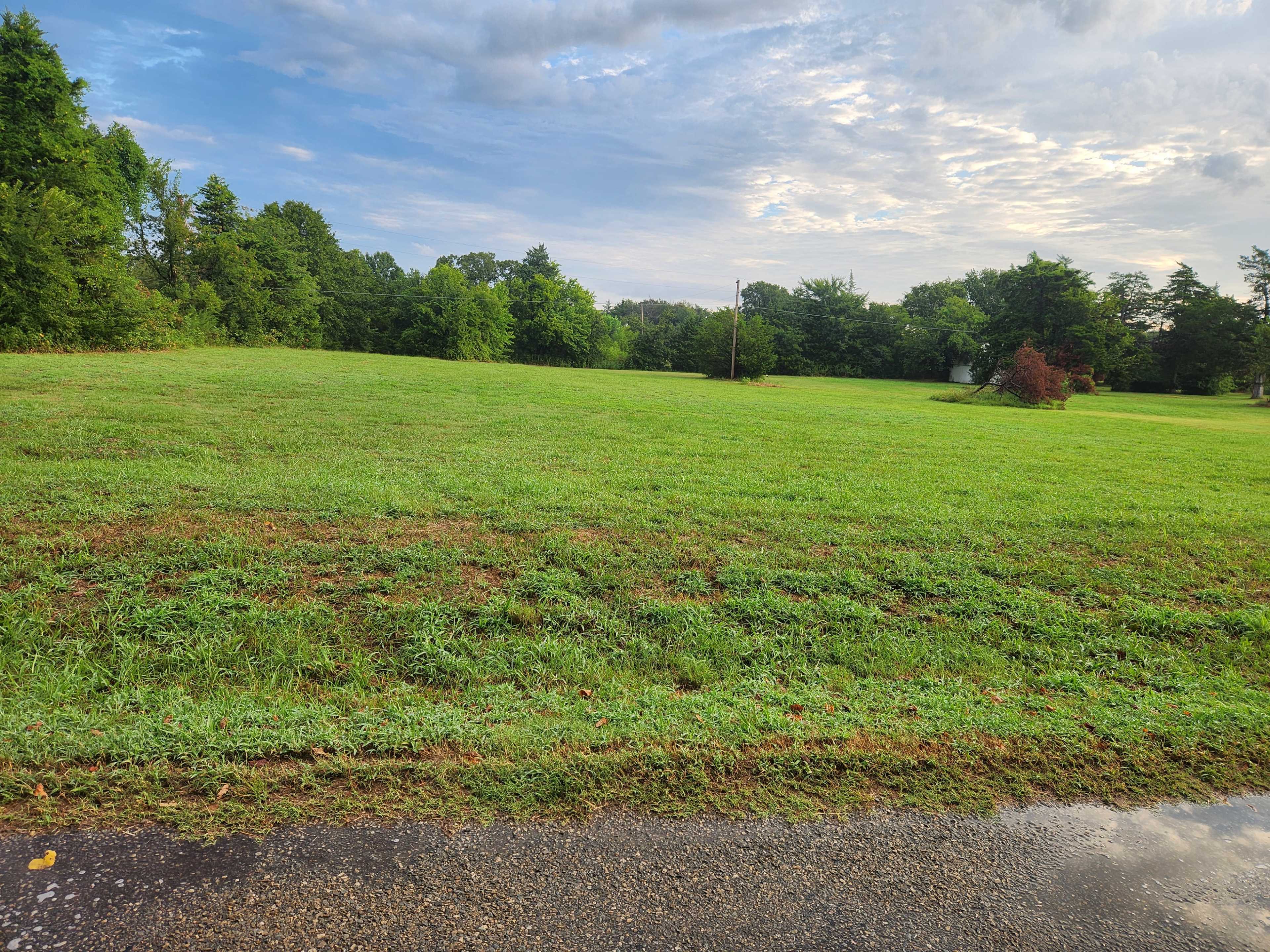 A wide, grassy field bordered by trees stretches under a cloudy sky, with a telephone pole visible in the distance.