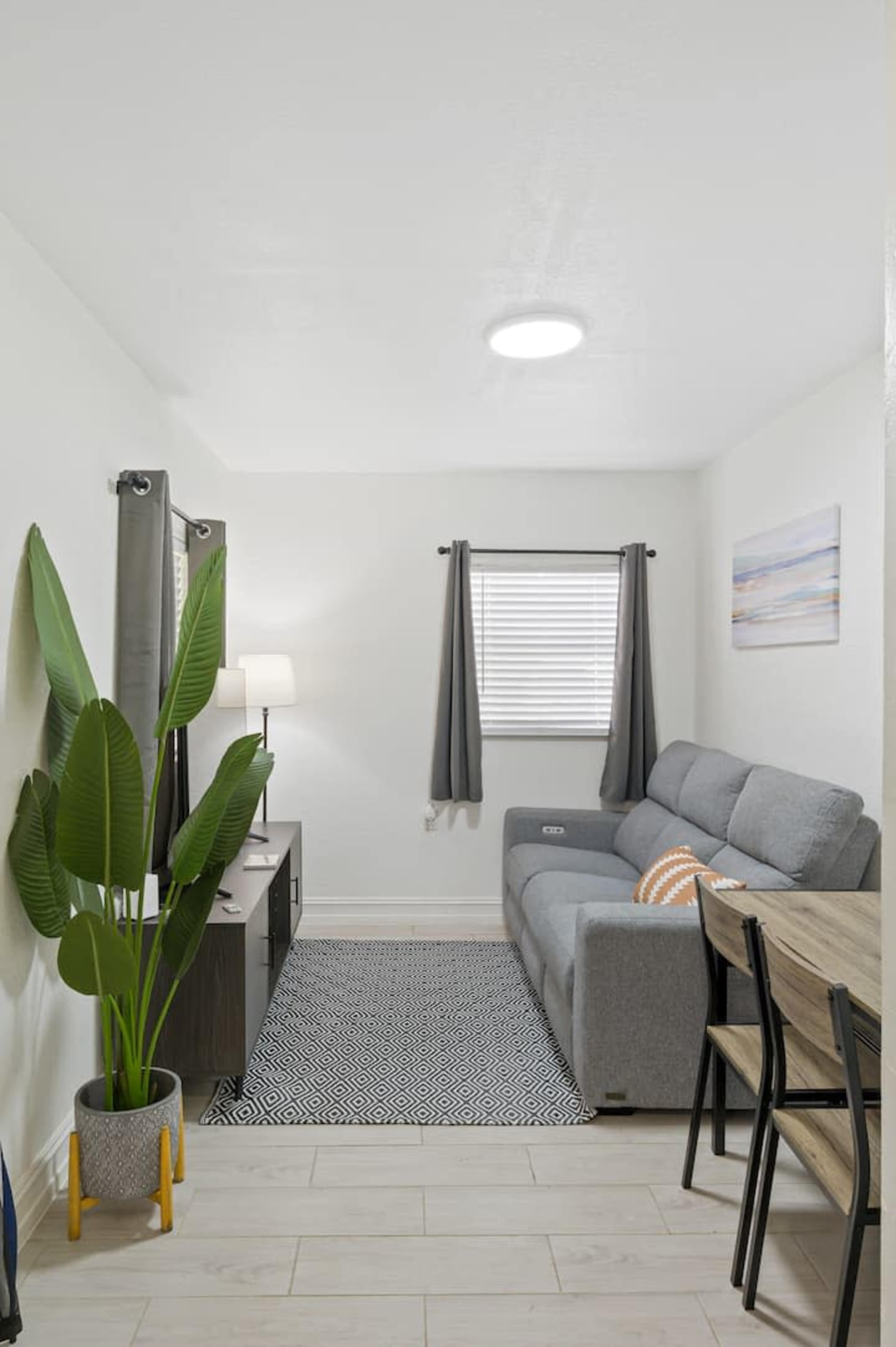 A modern living room with a gray sofa, a television stand, a small dining area, and a large indoor plant.