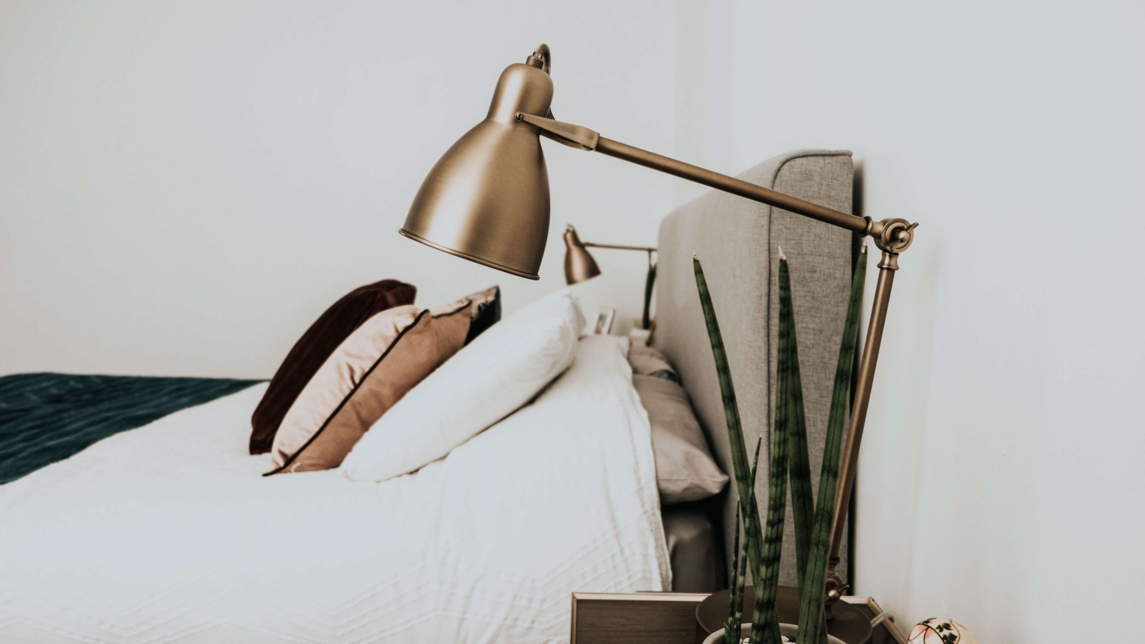 A neatly made bed with decorative pillows is illuminated by a modern brass lamp beside a tall plant.