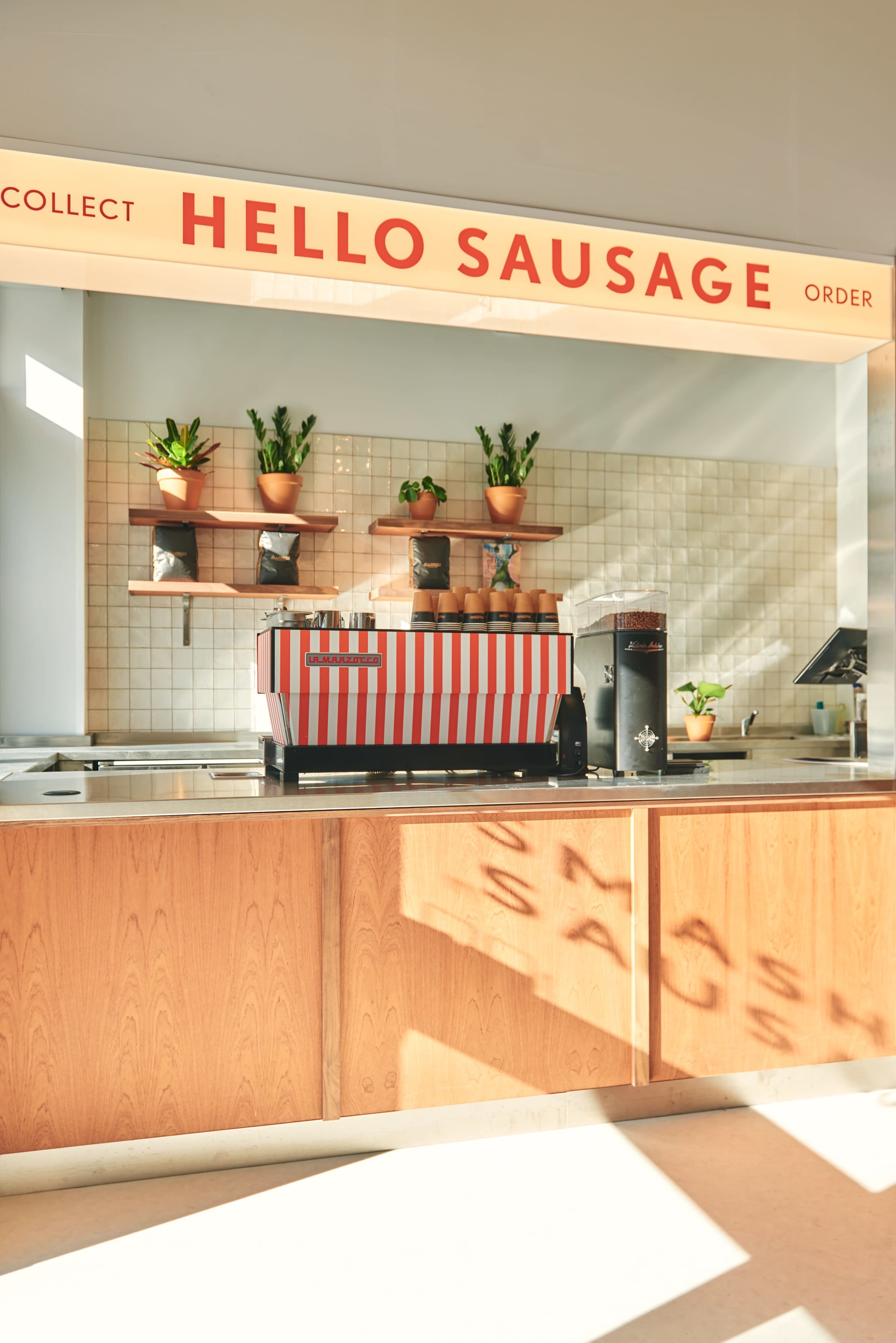 A brightly lit counter area of a food establishment, featuring a striped coffee machine and potted plants on shelves above.