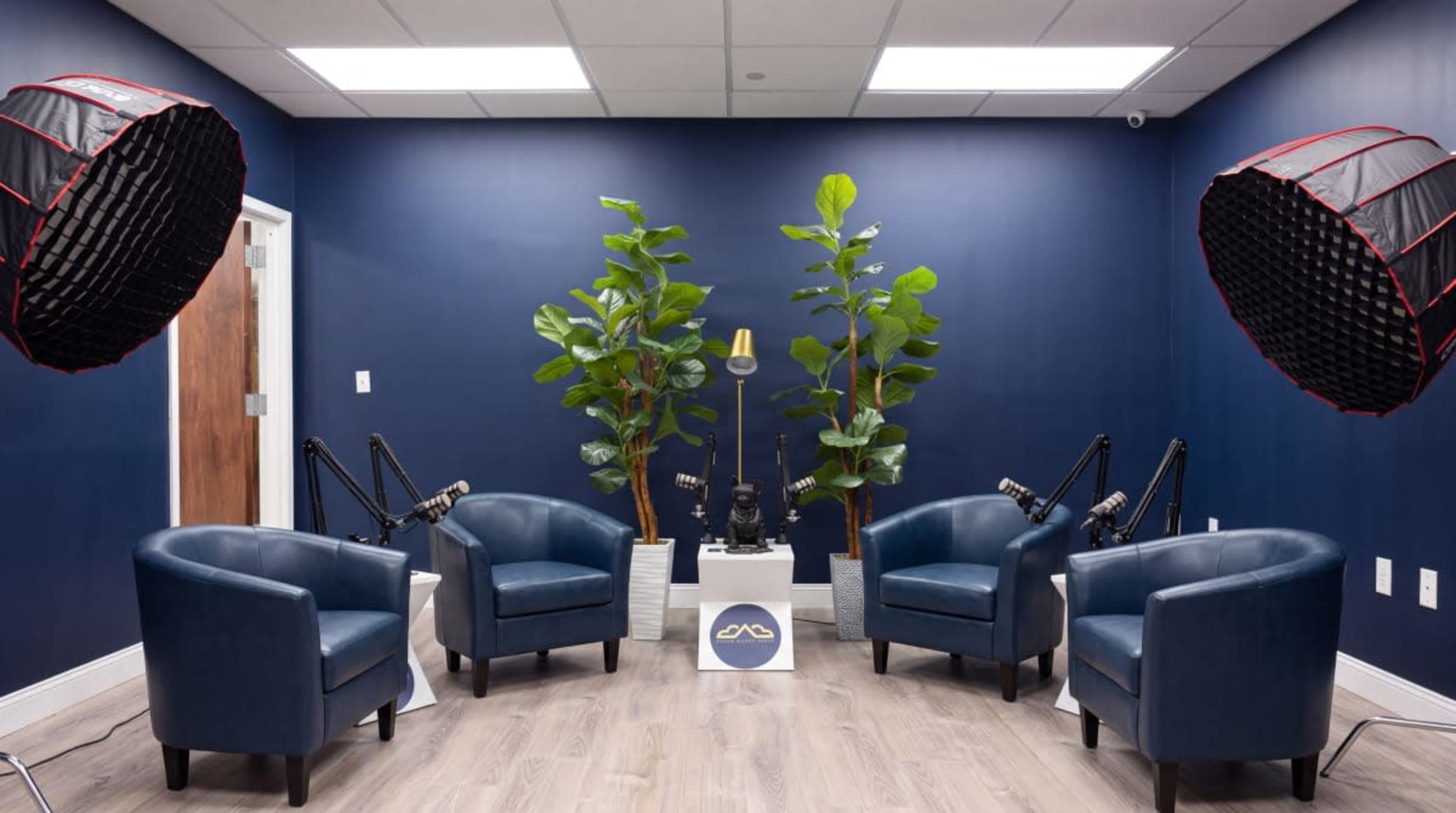 Spacious Bohemia Podcast Studio with Pro Audio & Lighting Image in Islip, Bohemia, NY