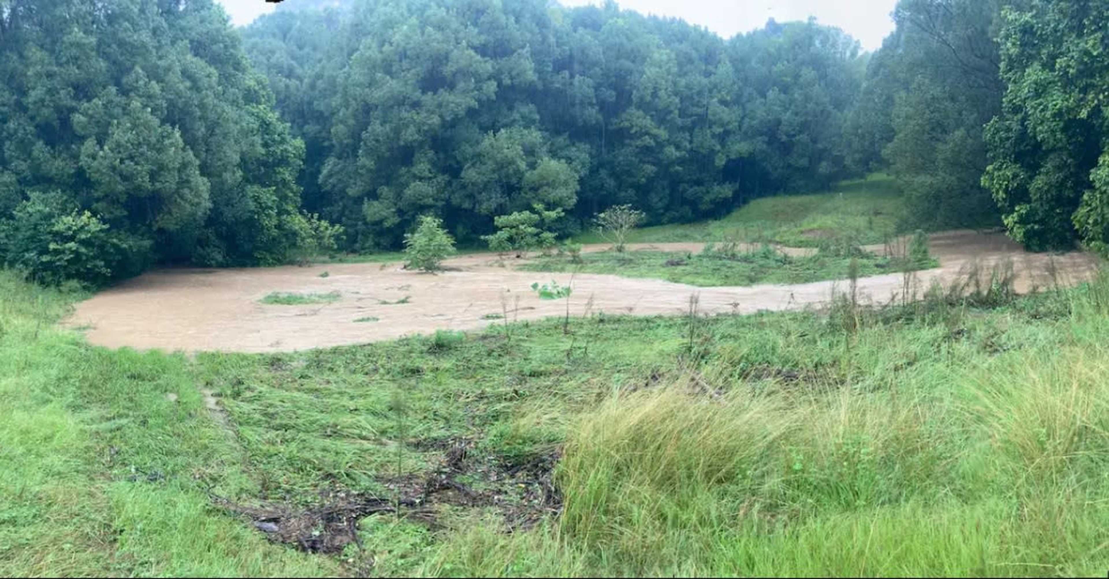 The image shows a flooded area surrounded by dense greenery, with water covering the ground and rising among the trees.