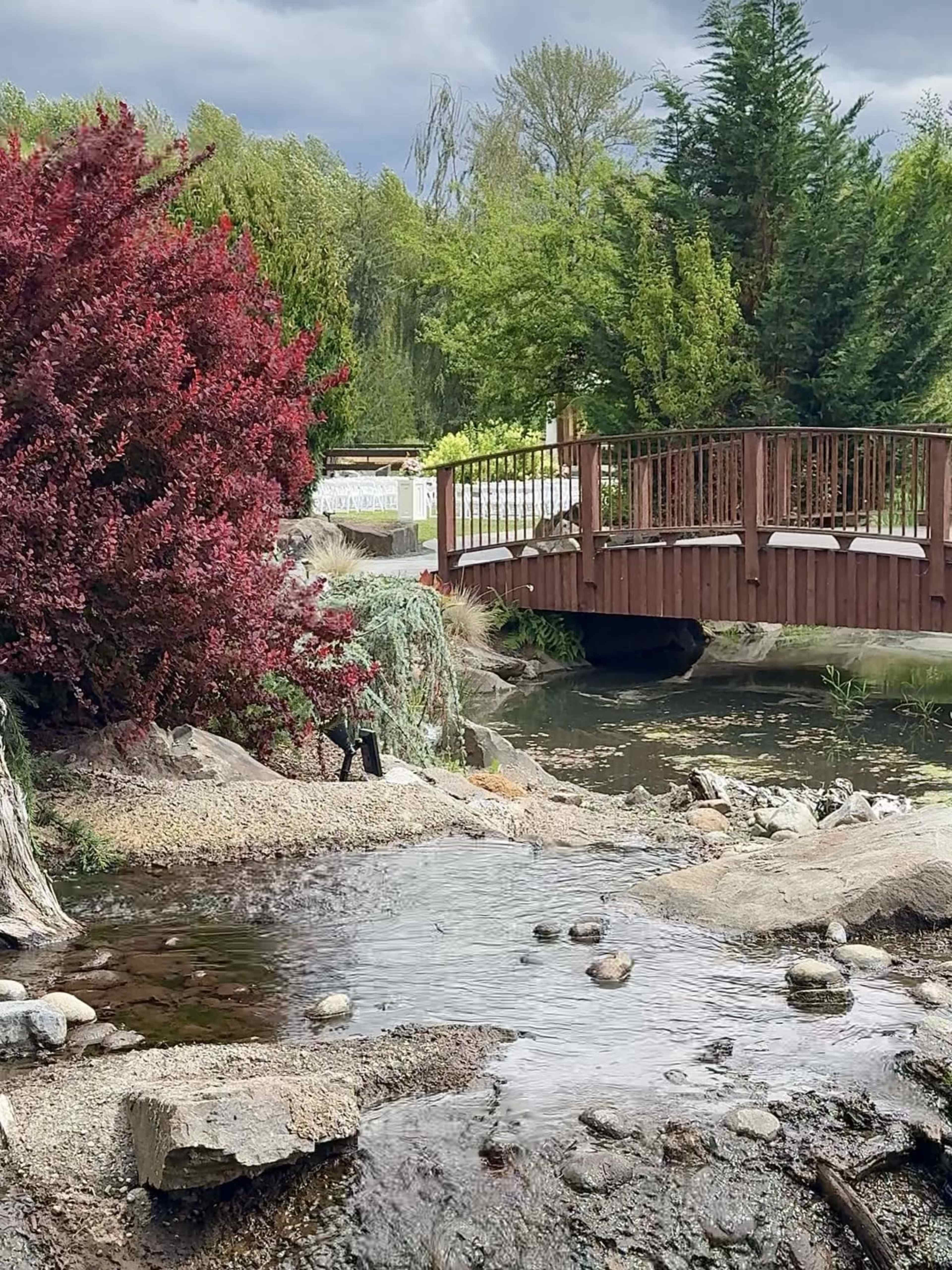 A wooden bridge spans a small stream surrounded by greenery and a red bush.
