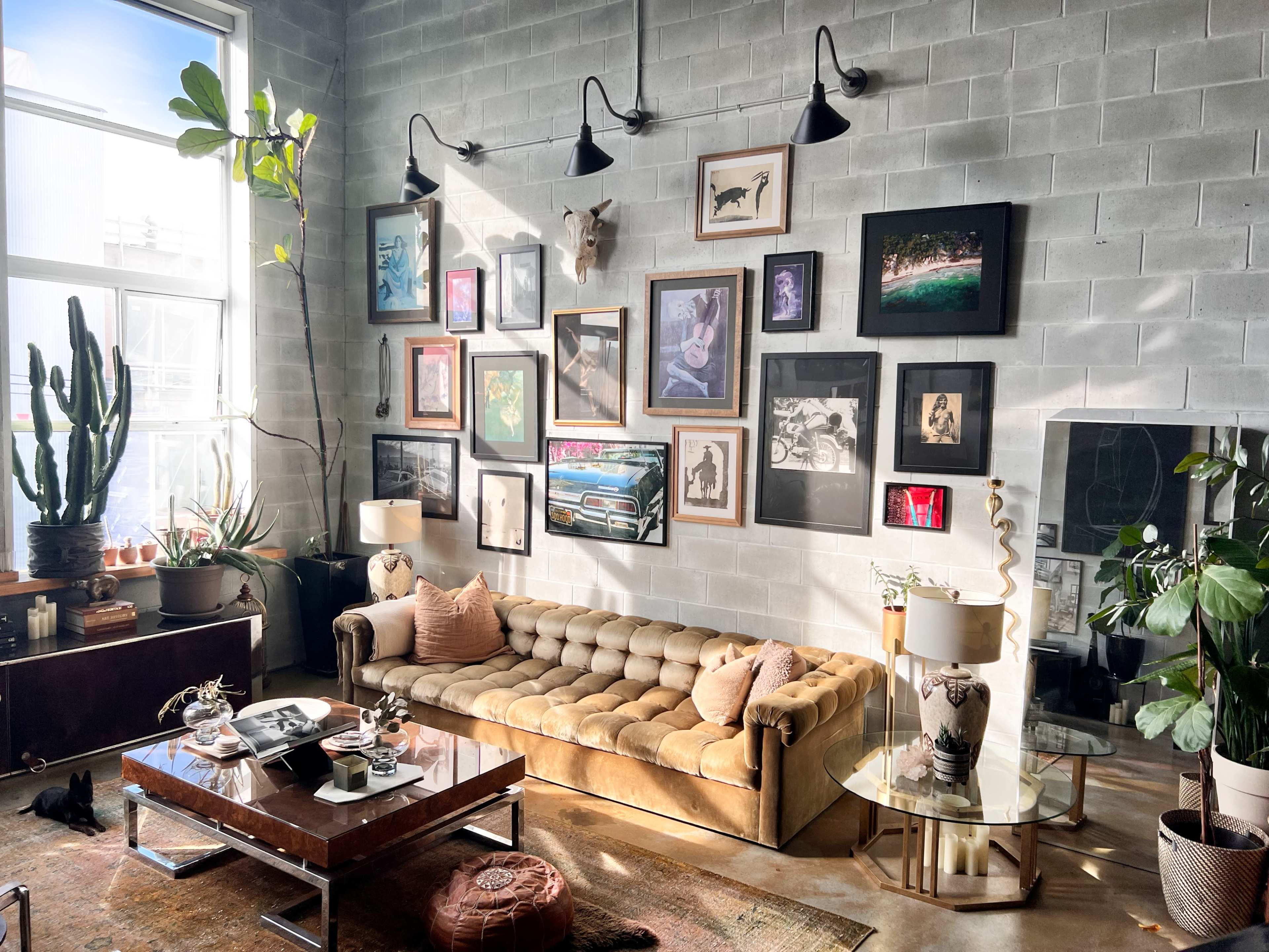 A stylish living room featuring a tufted beige sofa, a coffee table, various framed artworks on a concrete wall, and an array of indoor plants.