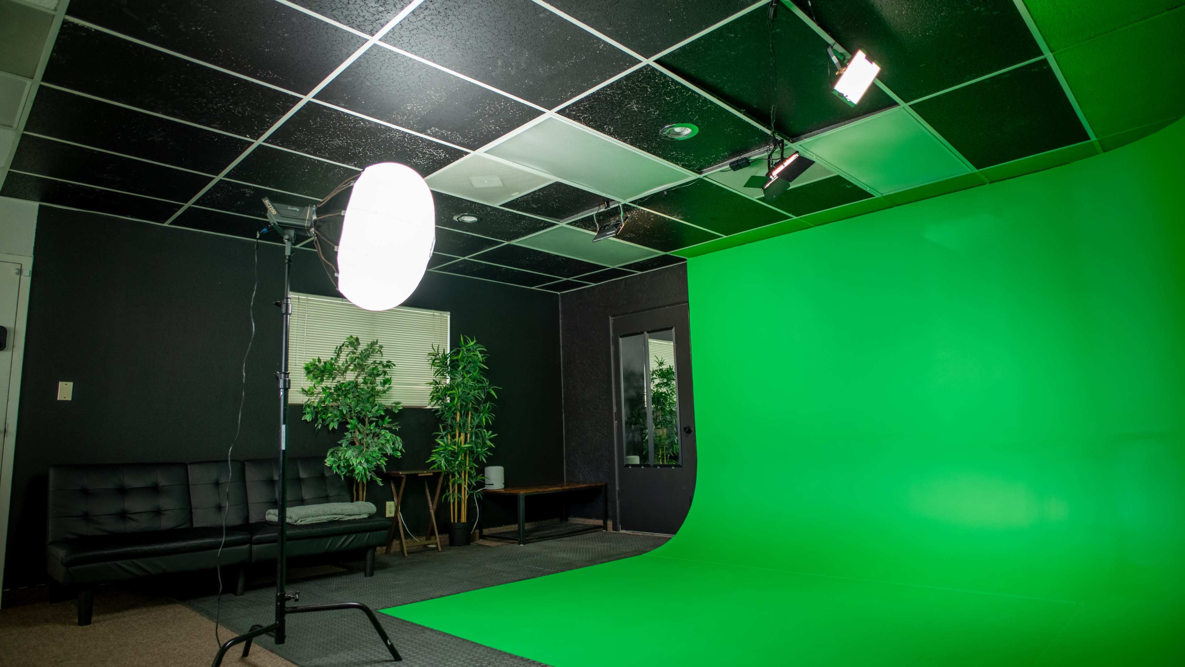 The image shows a green screen room equipped with a softbox light, a black sofa, and decorative plants against a dark backdrop.