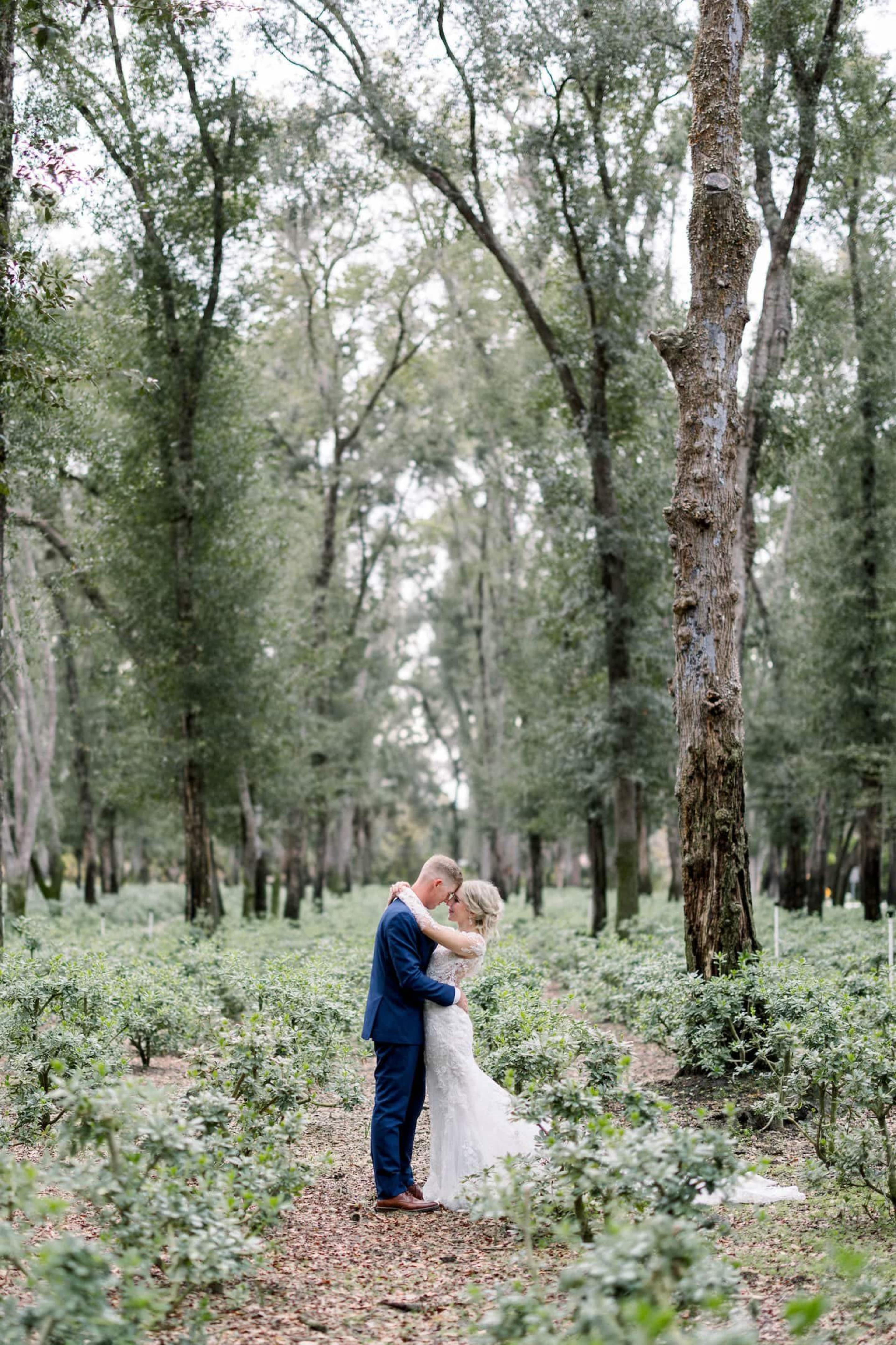 A couple in wedding attire embraces in a lush forest filled with tall trees and low shrubs.