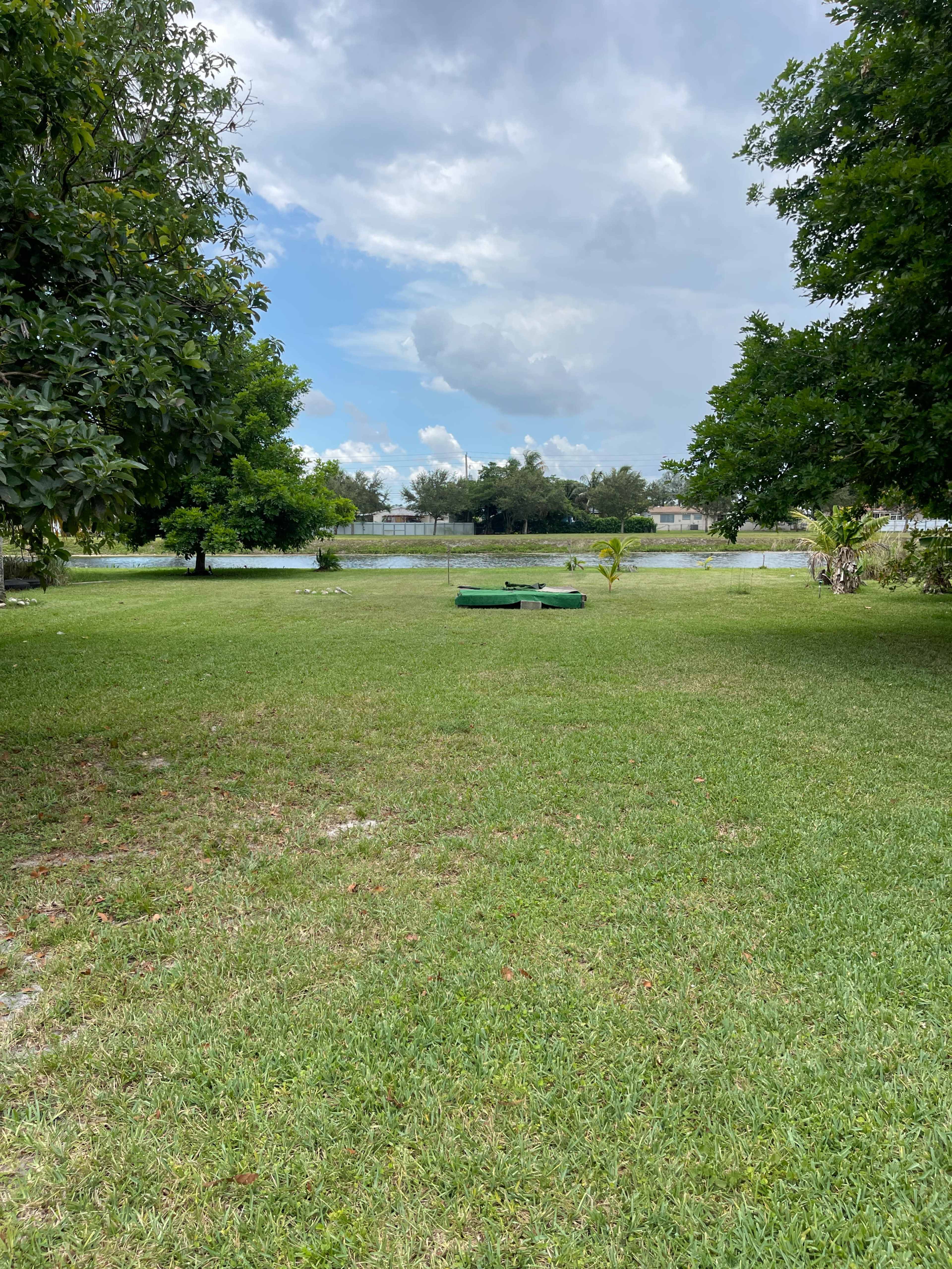 A grassy area with a view of a body of water in the background, framed by trees and cloudy blue skies.