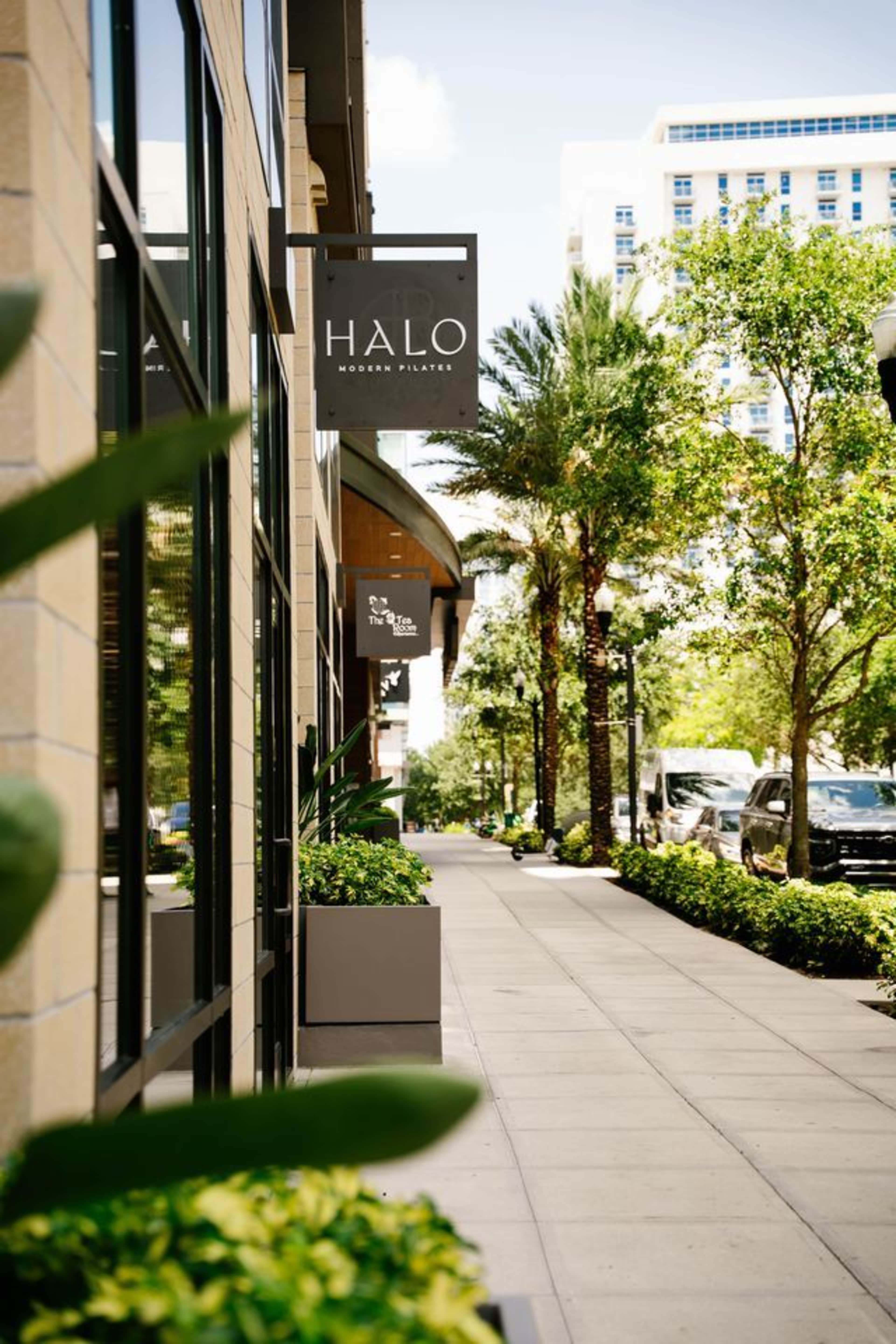 The image shows a modern, commercial street lined with palm trees and planters, featuring a sign that reads "HALO" on a building.