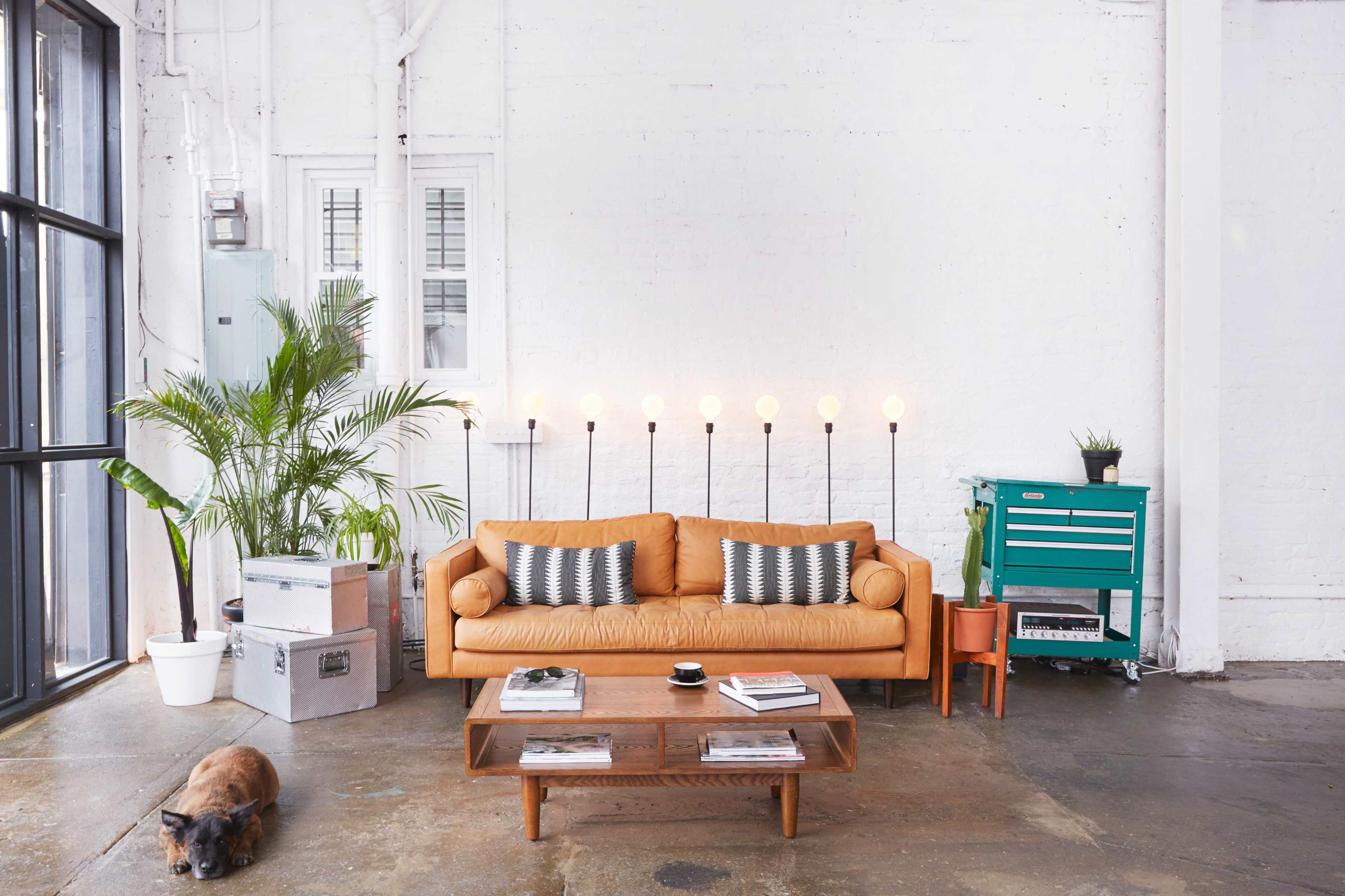 The image features a minimalist living space with a tan leather sofa, a wooden coffee table, a potted plant, and a green storage cart against a white brick wall.