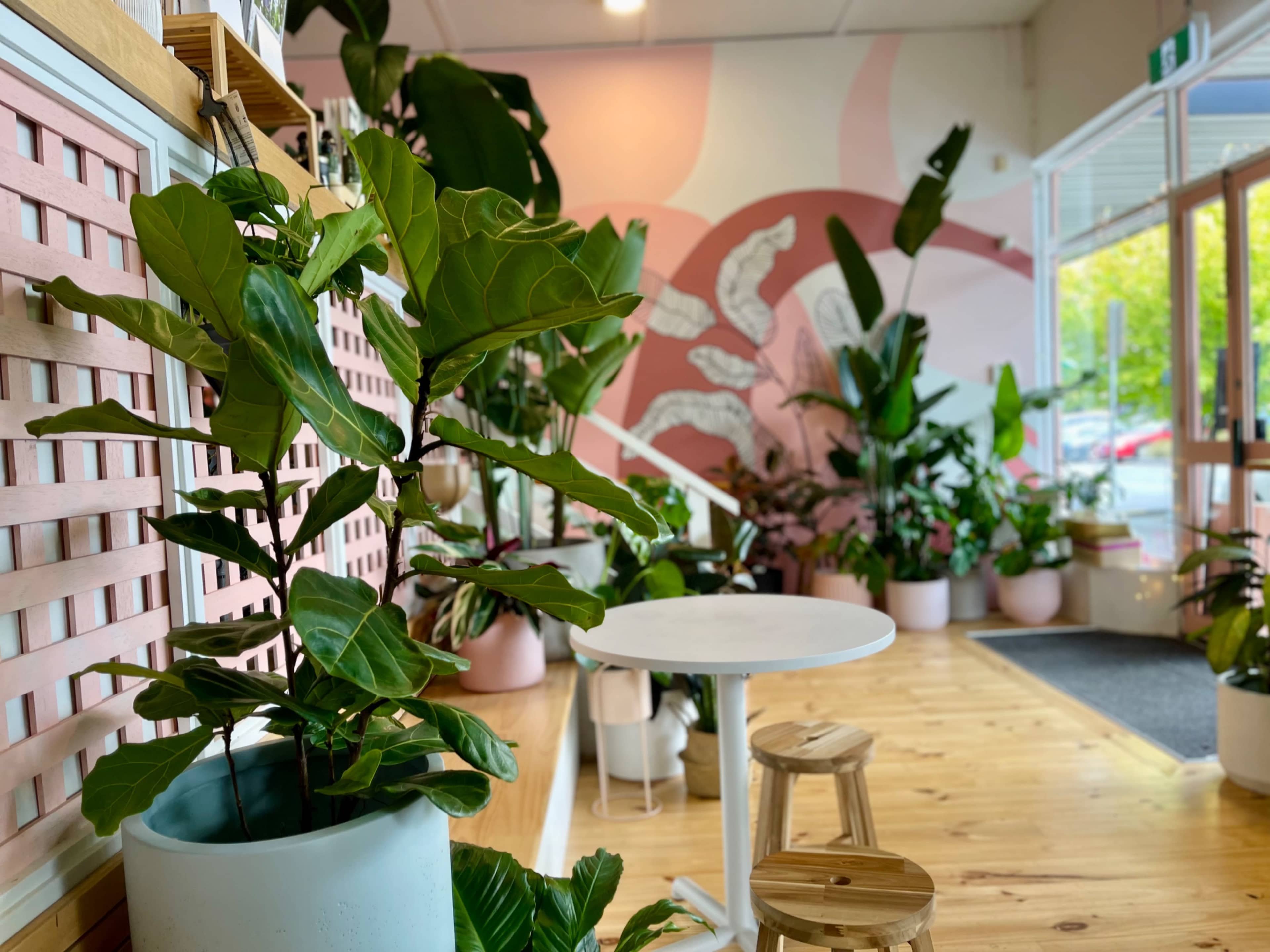 The scene features an interior space filled with various potted plants arranged around a small white table and wooden stools.