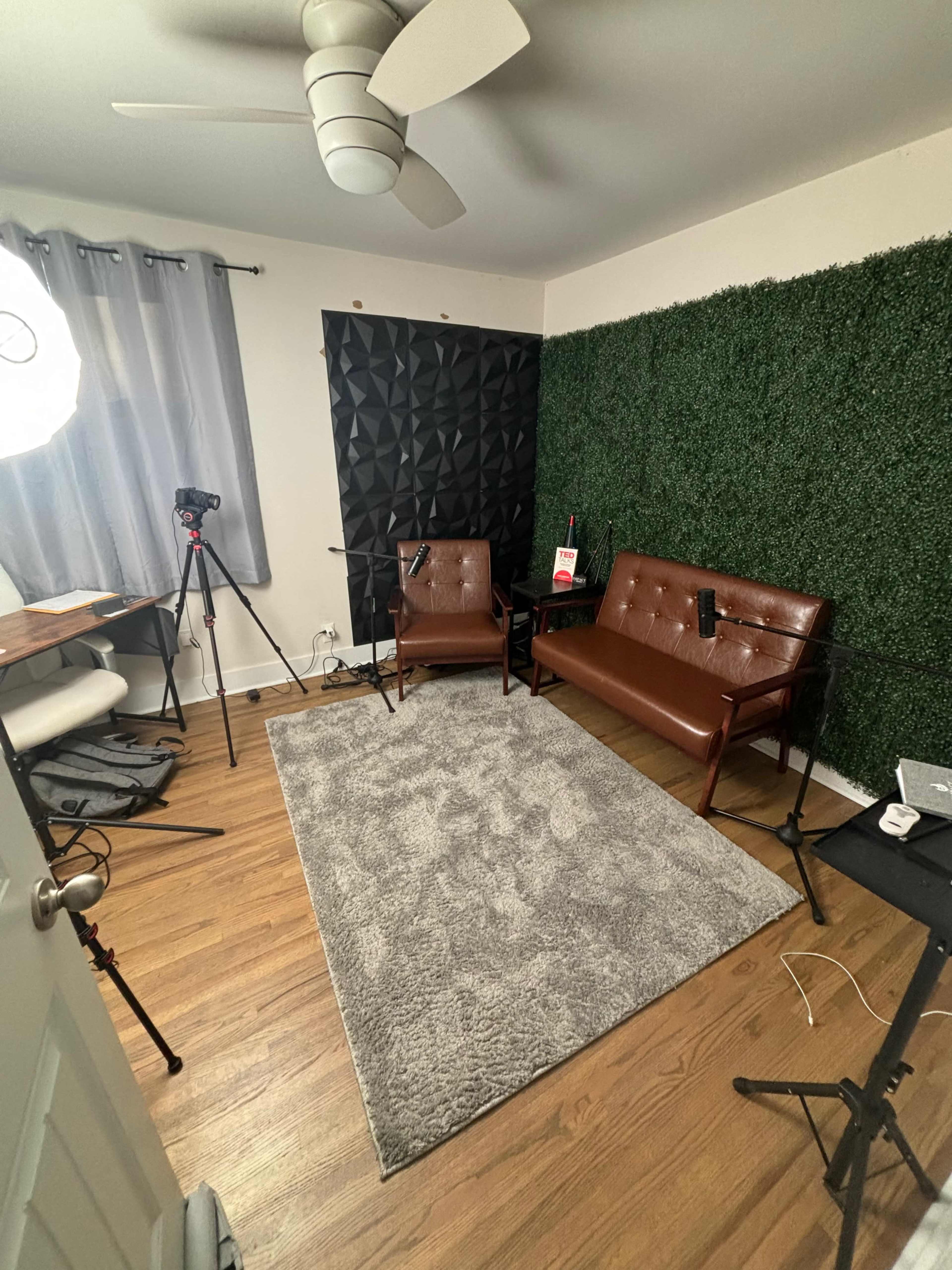 The image shows a small room with two brown chairs, a textured black wall, a green artificial plant wall, and equipment for video recording, including a camera and tripod.