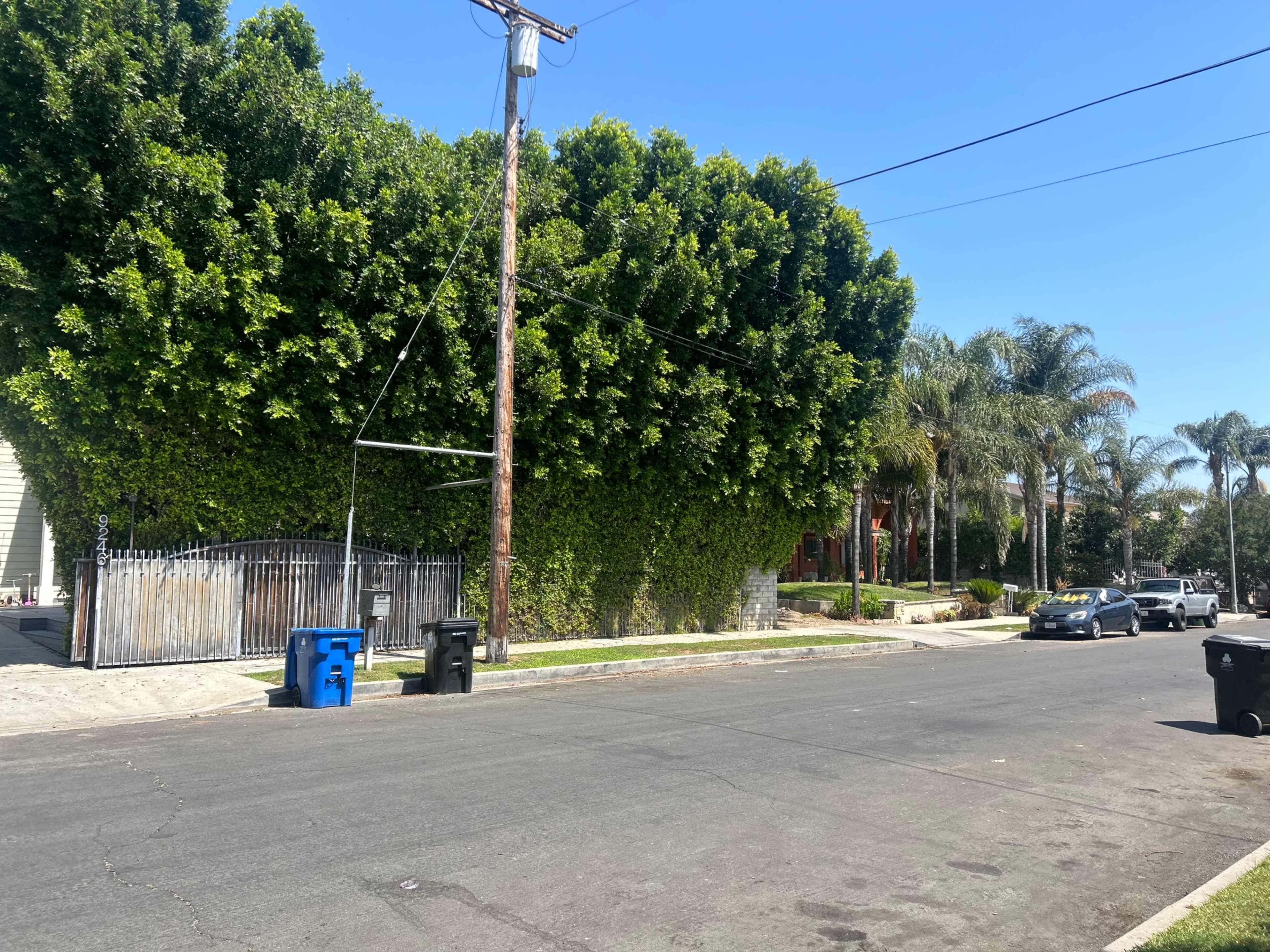 A street lined with green hedges and palm trees, featuring a gated entrance and several trash bins on the curb.