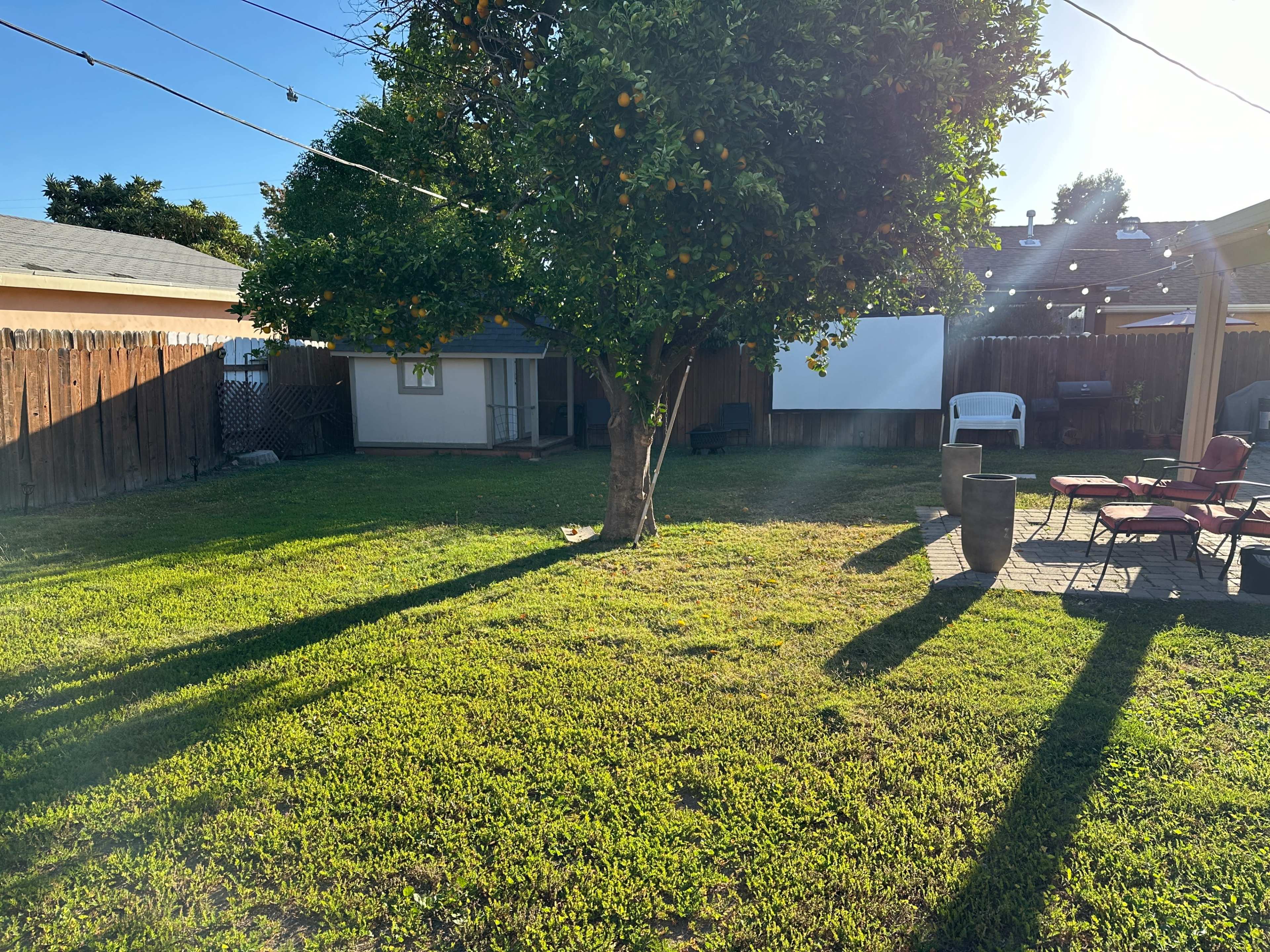 A backyard features a tree, a playhouse, a projector screen, a fire pit, and patio chairs on a grassy lawn.