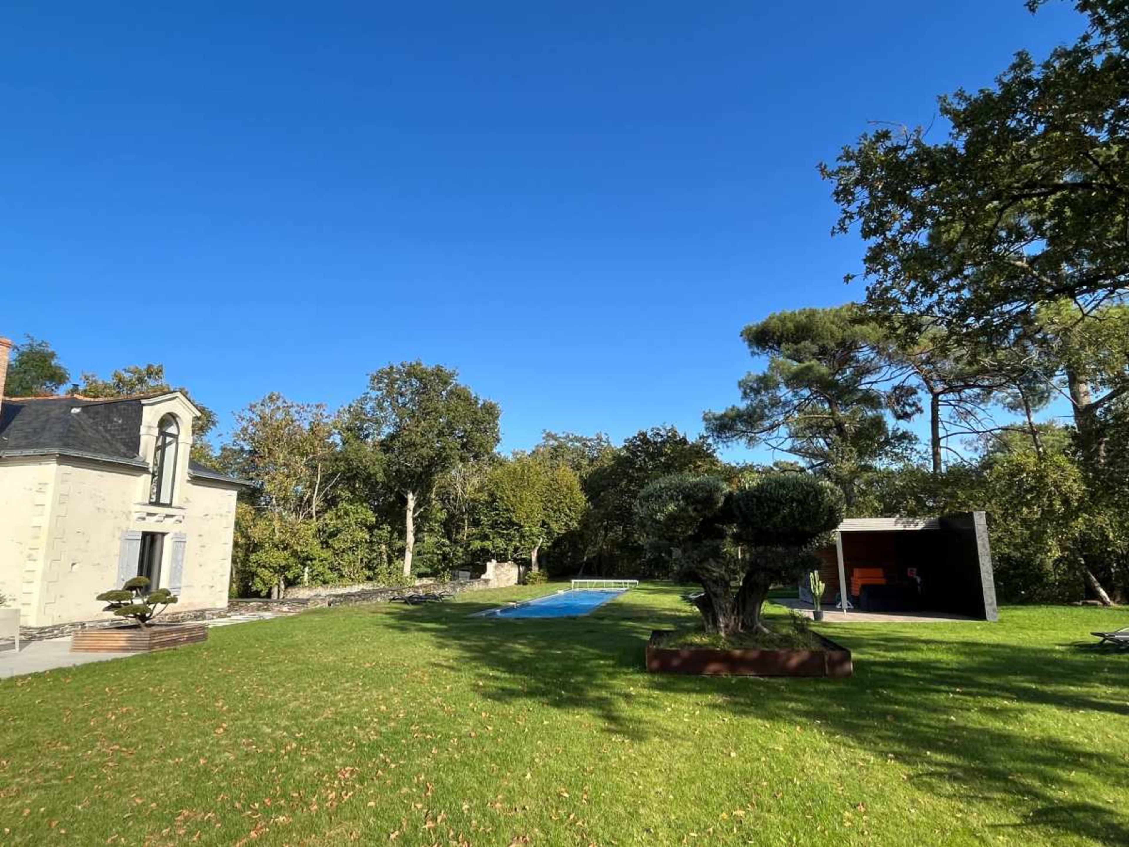 A modern house with a swimming pool is situated in a lush green yard surrounded by trees.