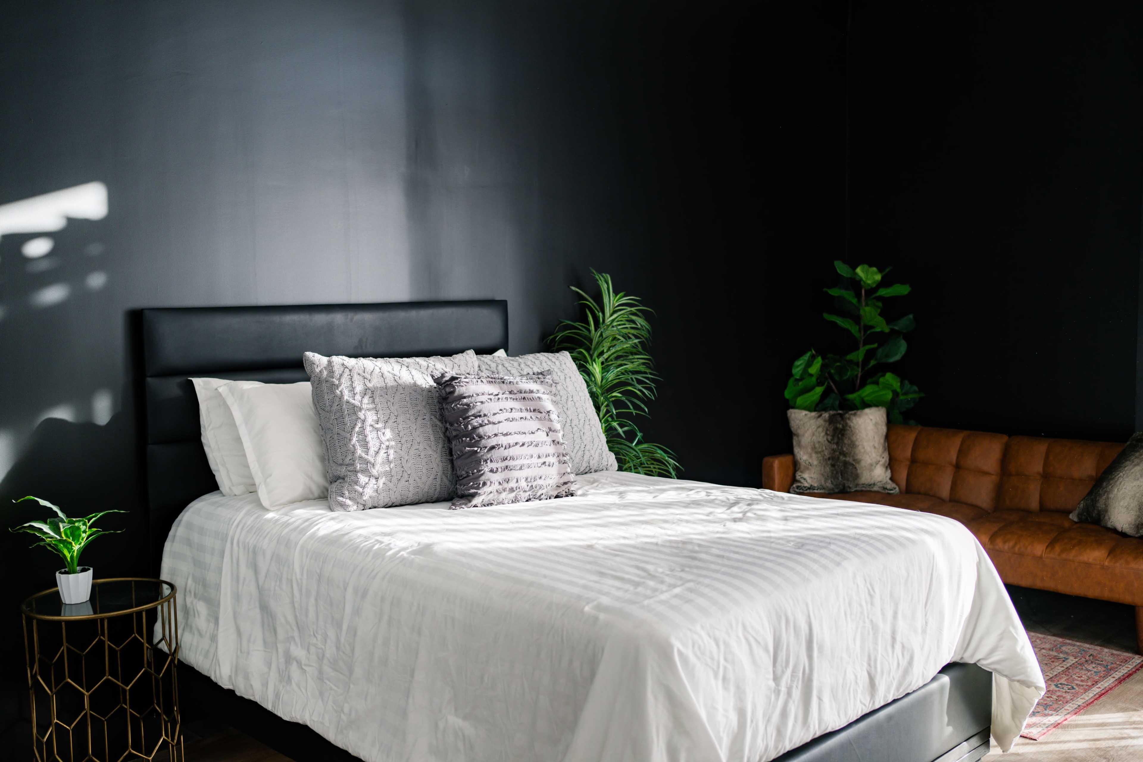 A neatly made bed with white bedding and decorative pillows is positioned against a black wall, accompanied by a brown couch and potted plants in the corner.
