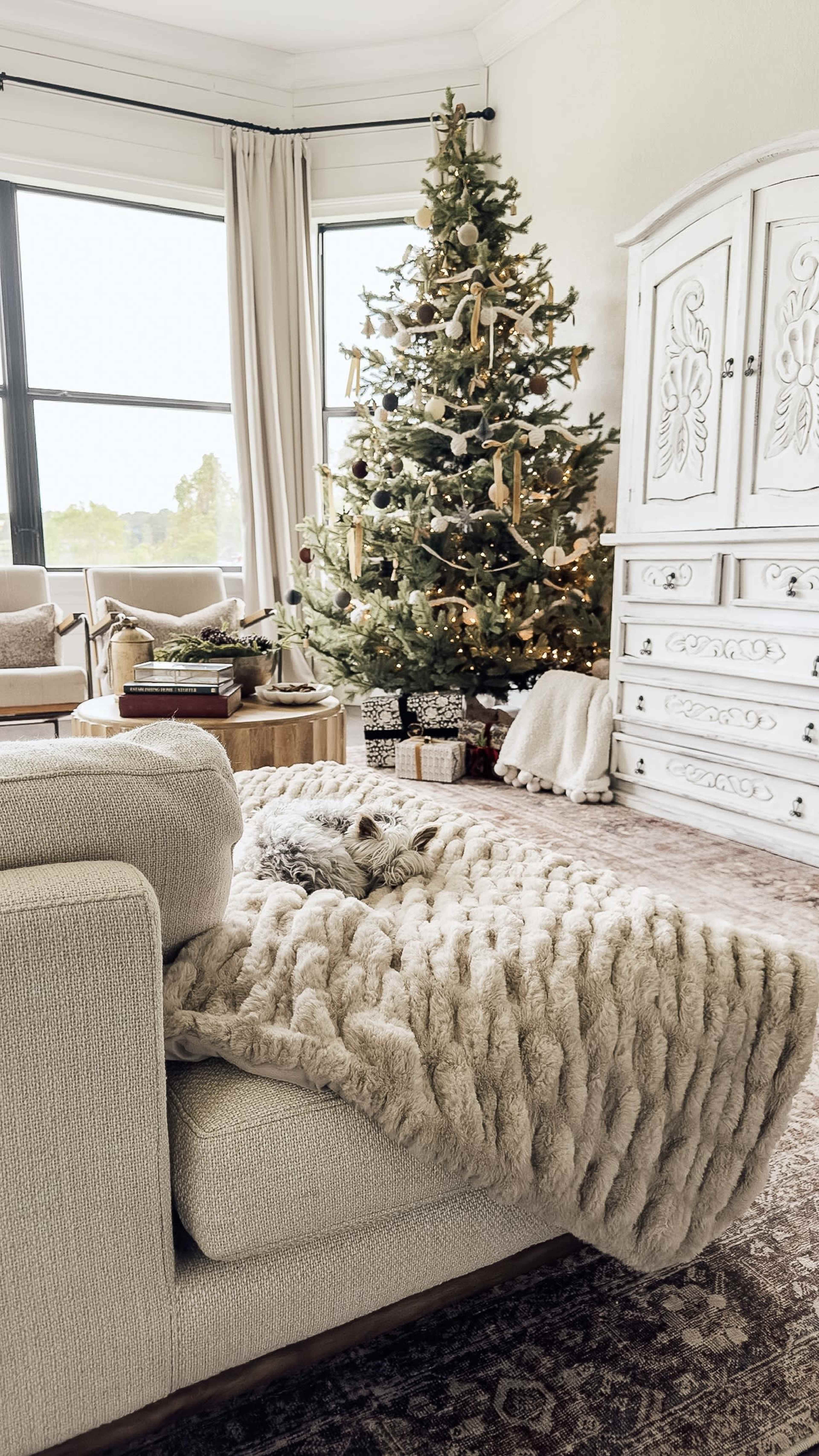 A cozy living room features a decorated Christmas tree, an armchair, and a sofa draped with a fluffy blanket.