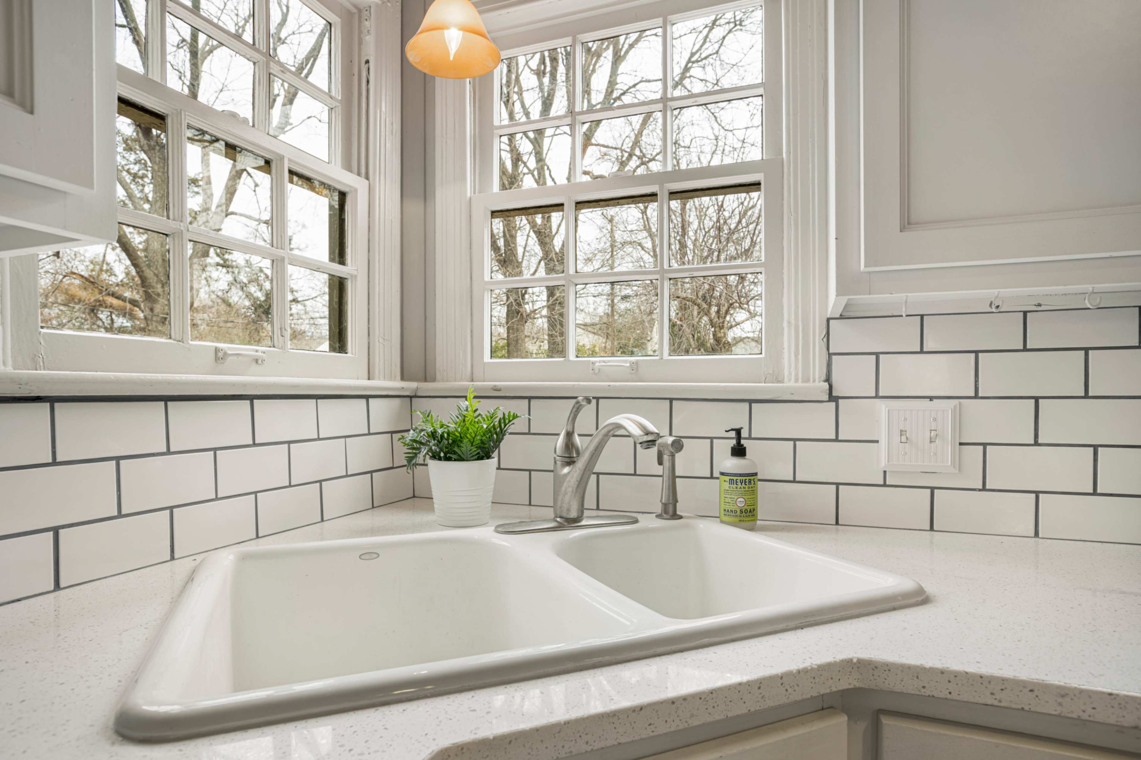 A double basin kitchen sink is positioned under a window, with a small plant and hand soap nearby.
