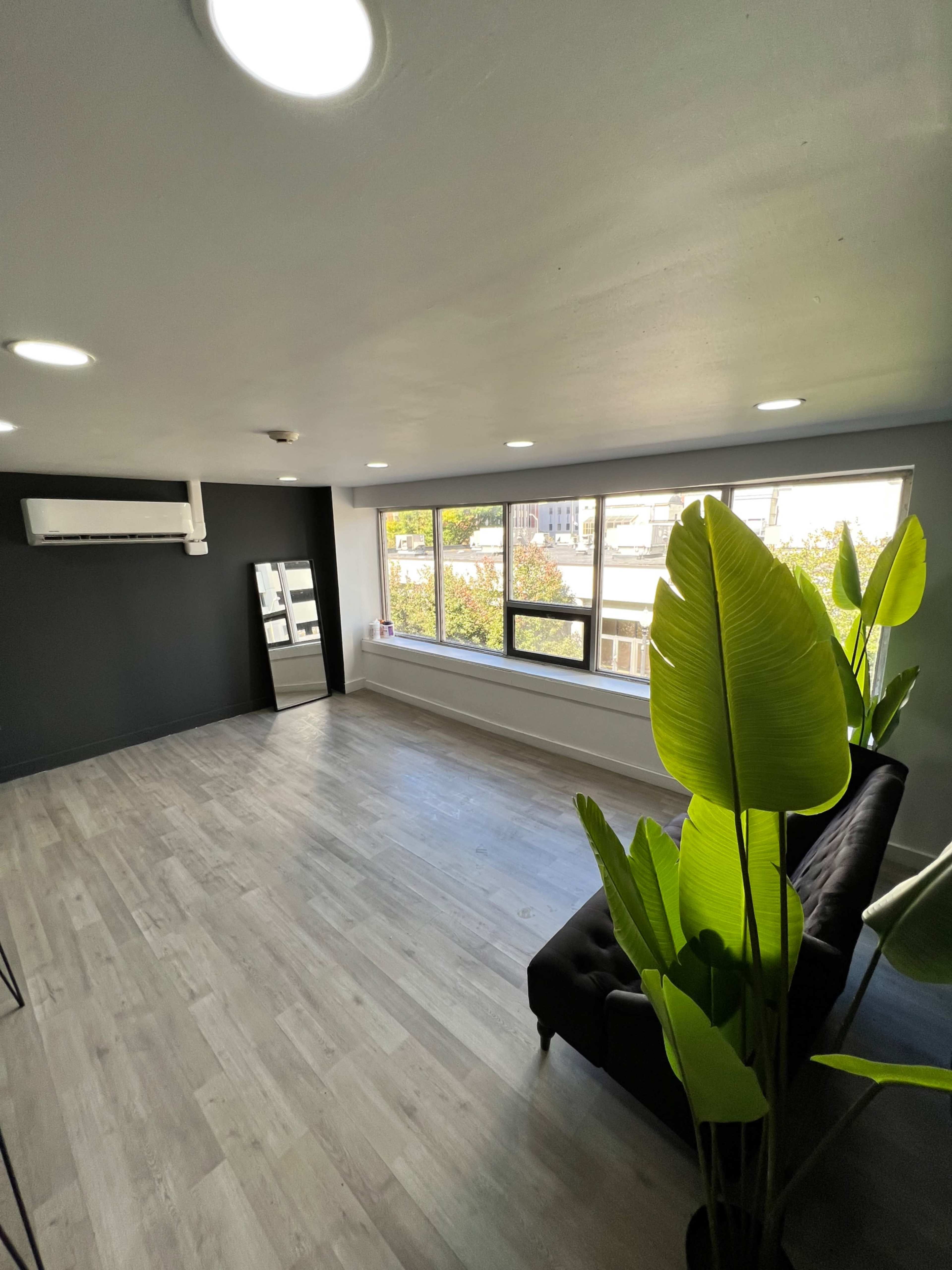 A spacious, modern room with large windows, a black sofa, a mirror, and a potted plant.