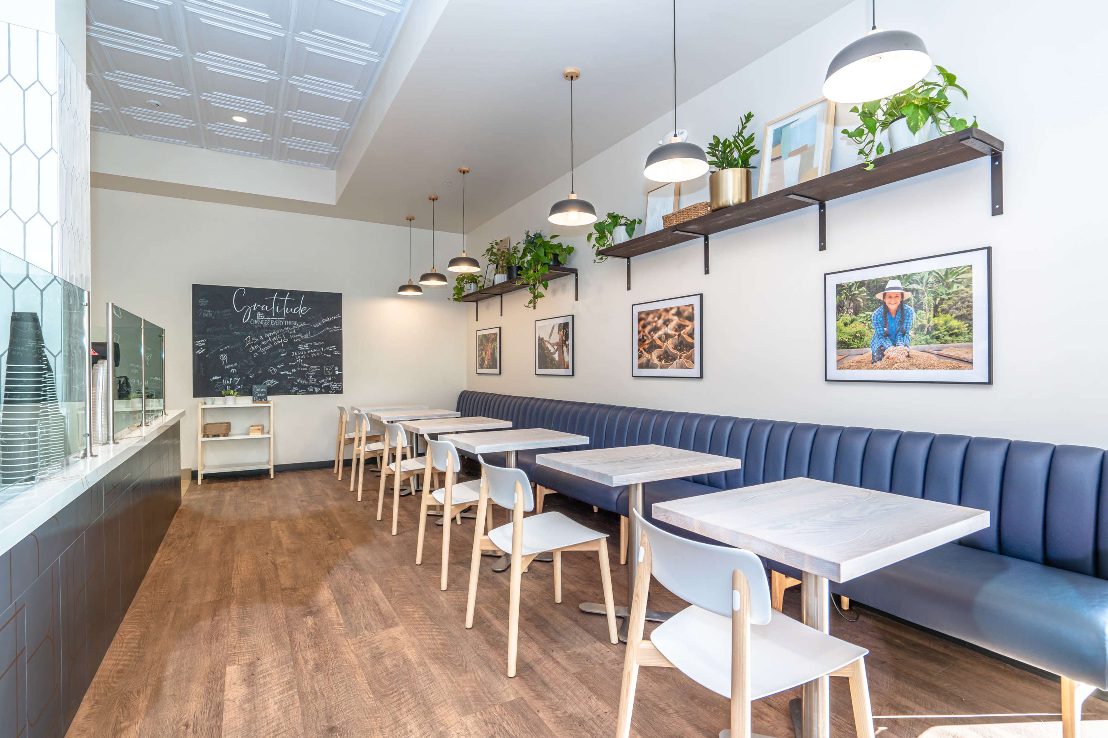 A modern café interior with a long blue banquette, wooden tables, and shelves displaying plants and framed photographs along the wall.