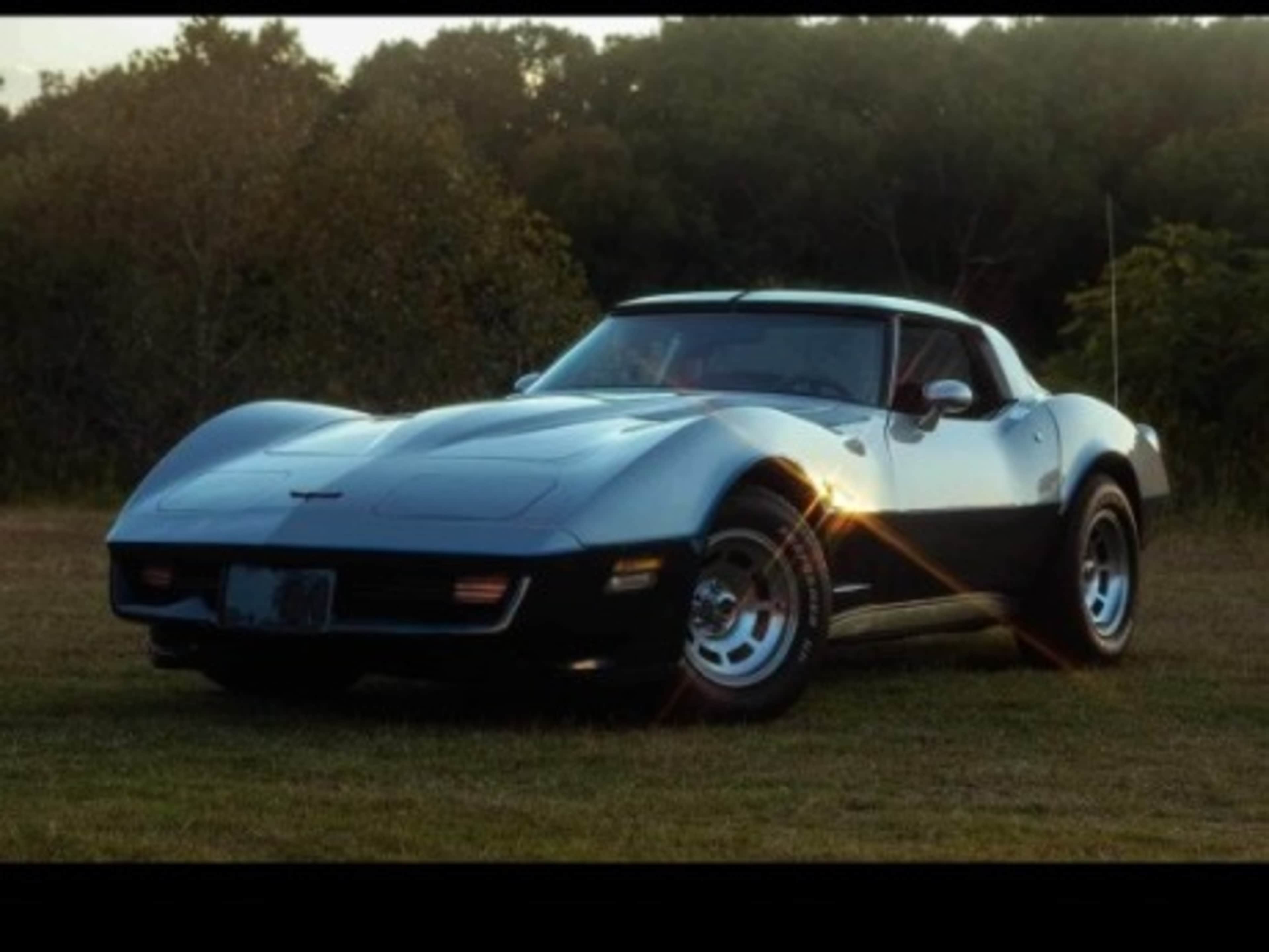 1981 Corvette 'Anniversary edition'