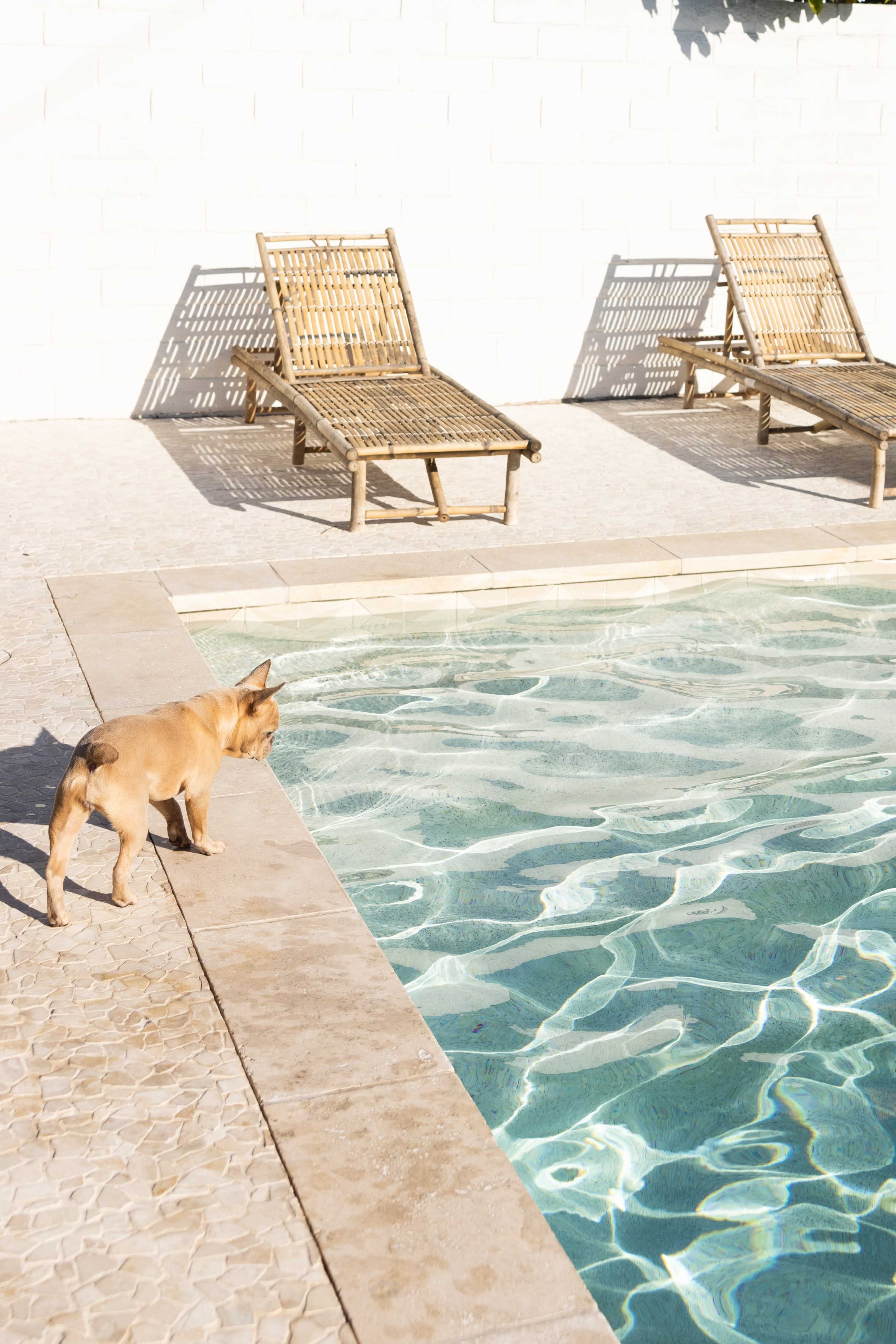Tranquil Mexico-Inspired Home with Pool for Photoshoots Image in College Park, costa mesa, CA