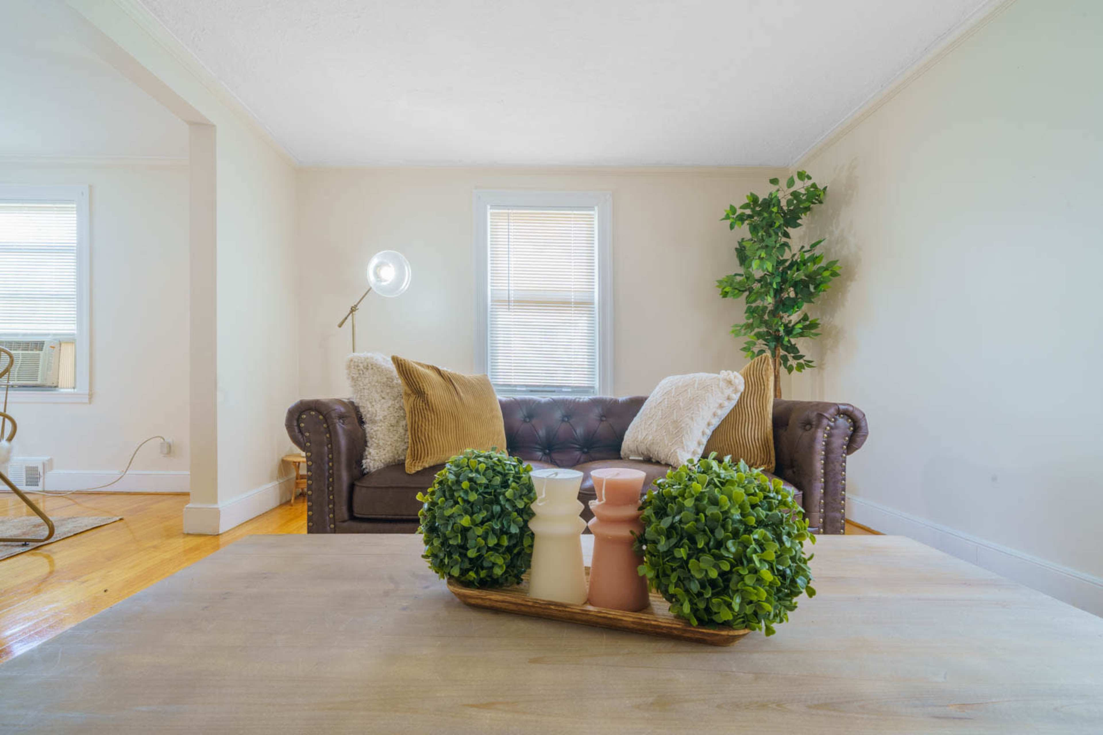 A living room features a brown leather couch with decorative pillows and two potted plants, positioned near a wooden coffee table.