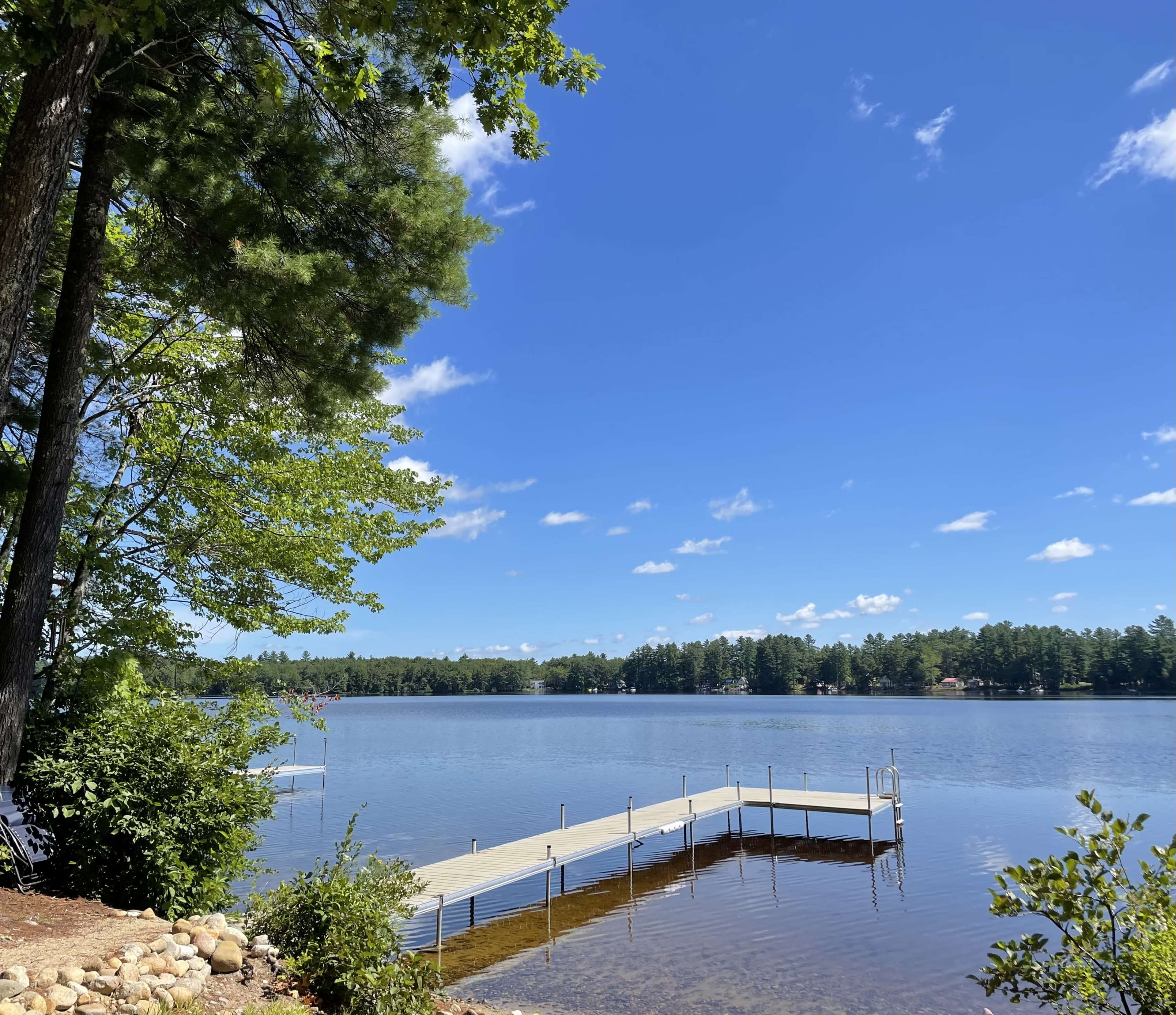 A wooden dock extends into a calm lake, surrounded by trees and clear blue skies.