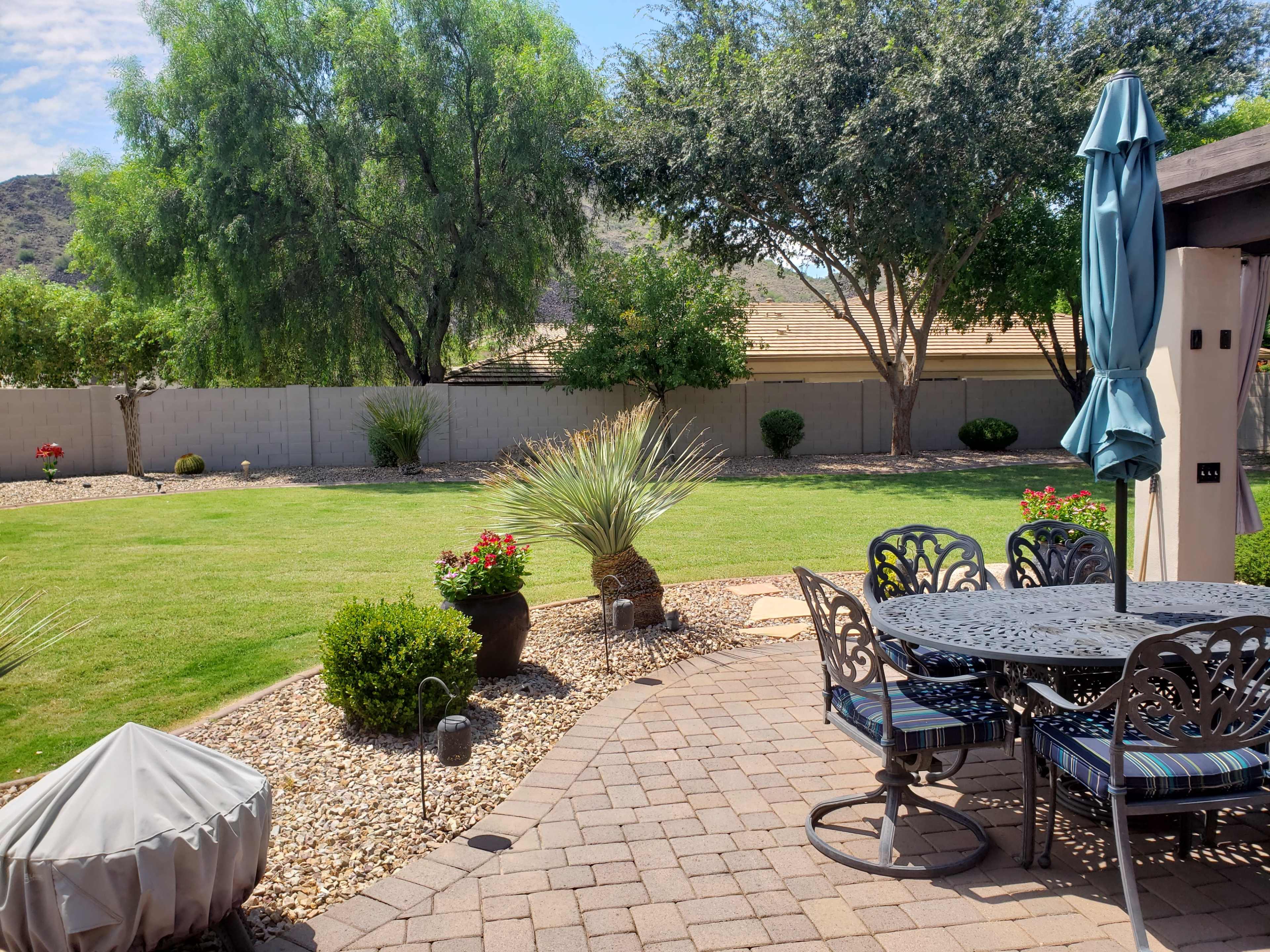 A landscaped backyard with a stone patio, garden furniture, and various plants against a gray wall and blue sky.