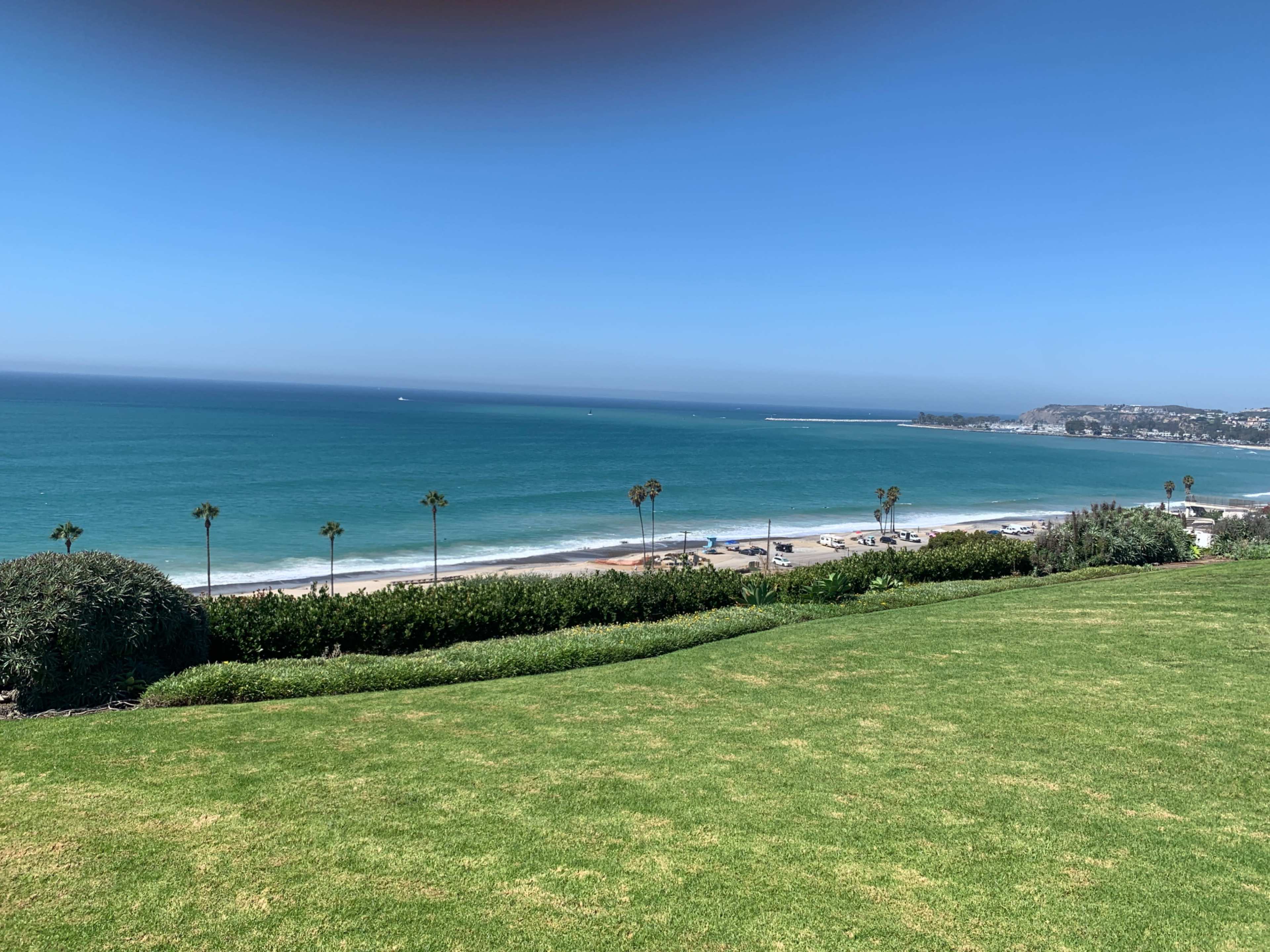 The image shows a view of a beach with calm blue waters, palm trees, and green grass in the foreground.