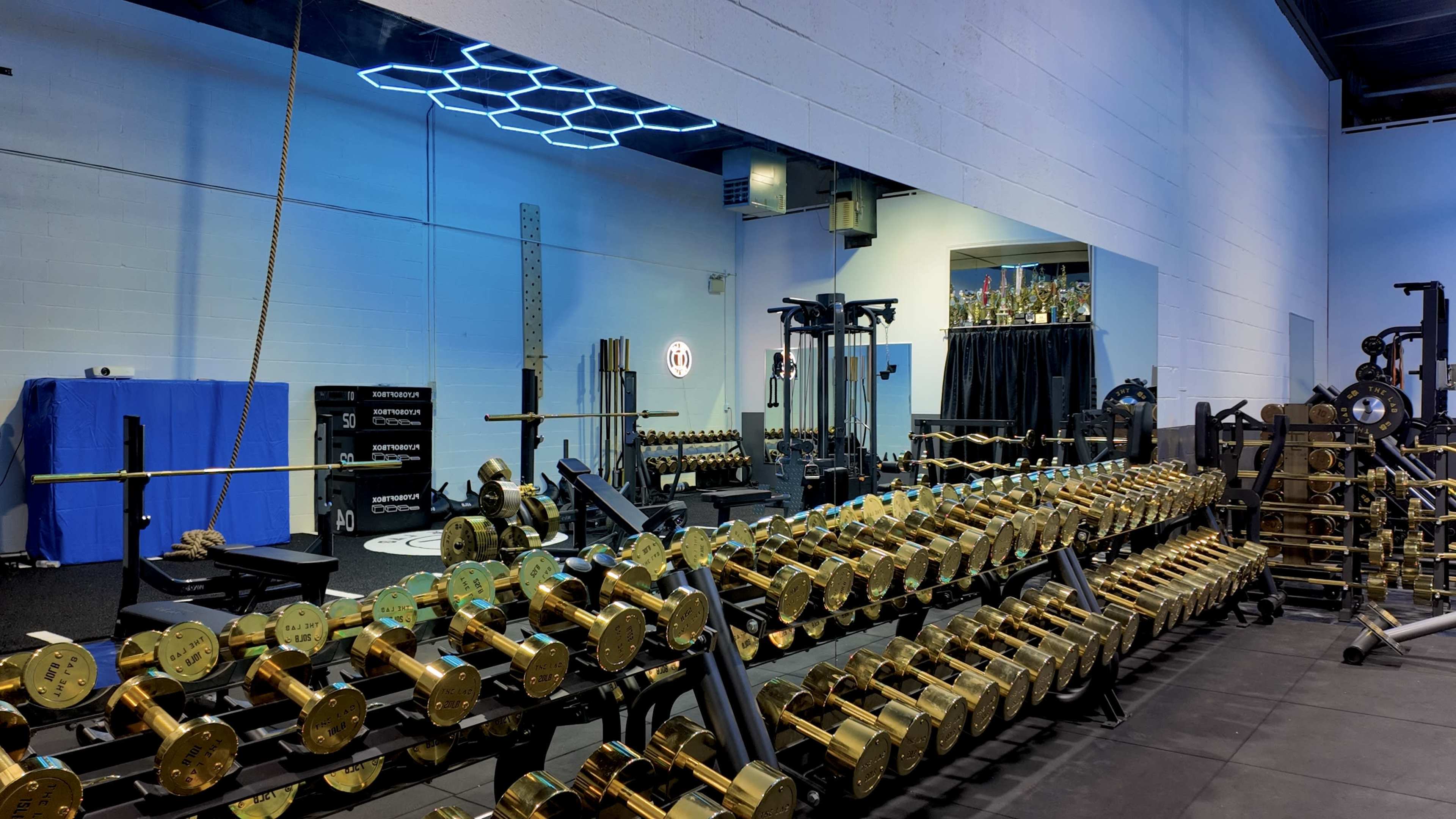 LUXURIOUS GYM FOR WORKOUTS/PHOTOSHOOTS/MUSIC VIDEOS Image in Brampton, Brampton, ON