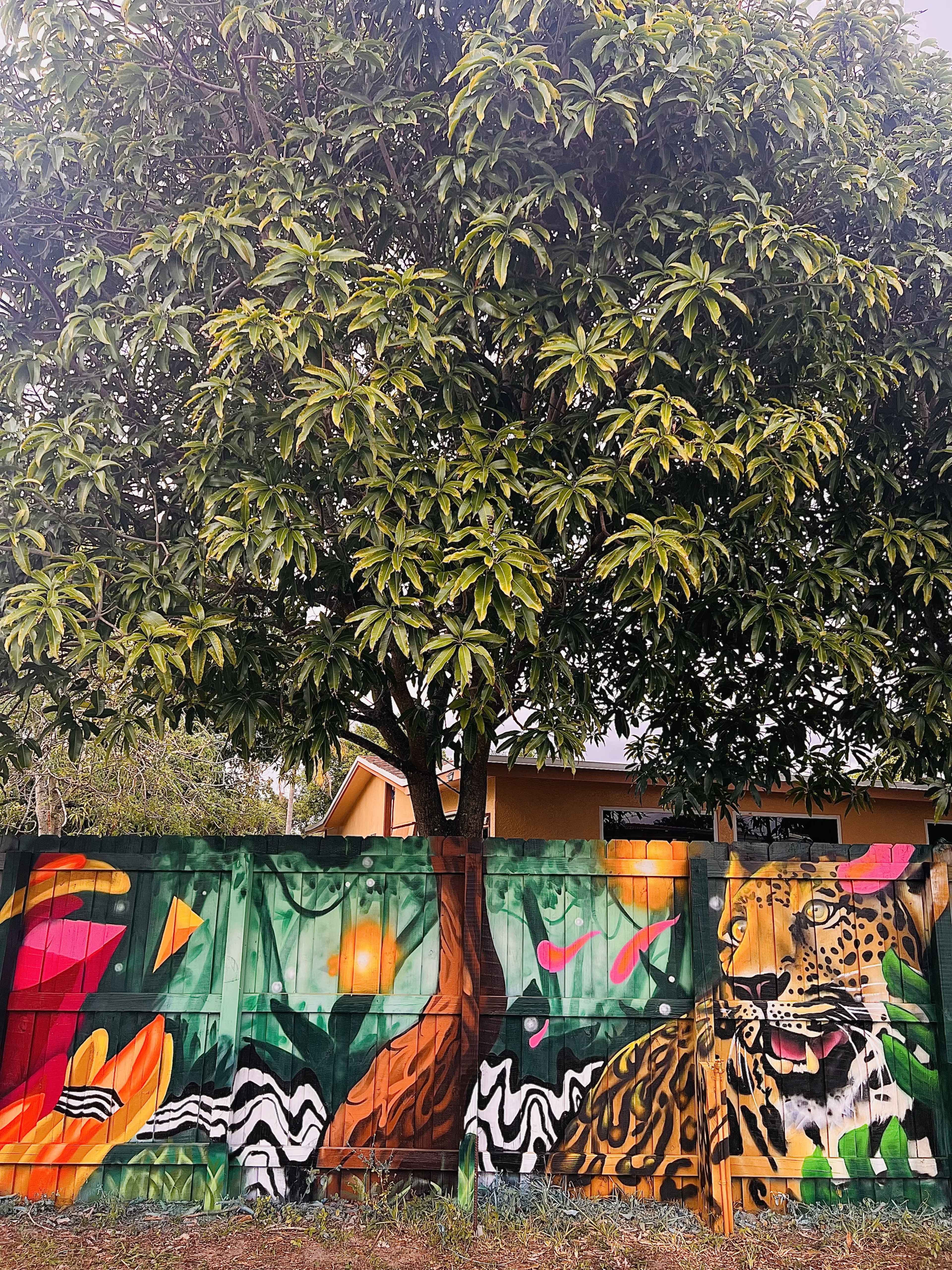 A large tree stands next to a vibrant mural depicting a jaguar and tropical elements on a fence.