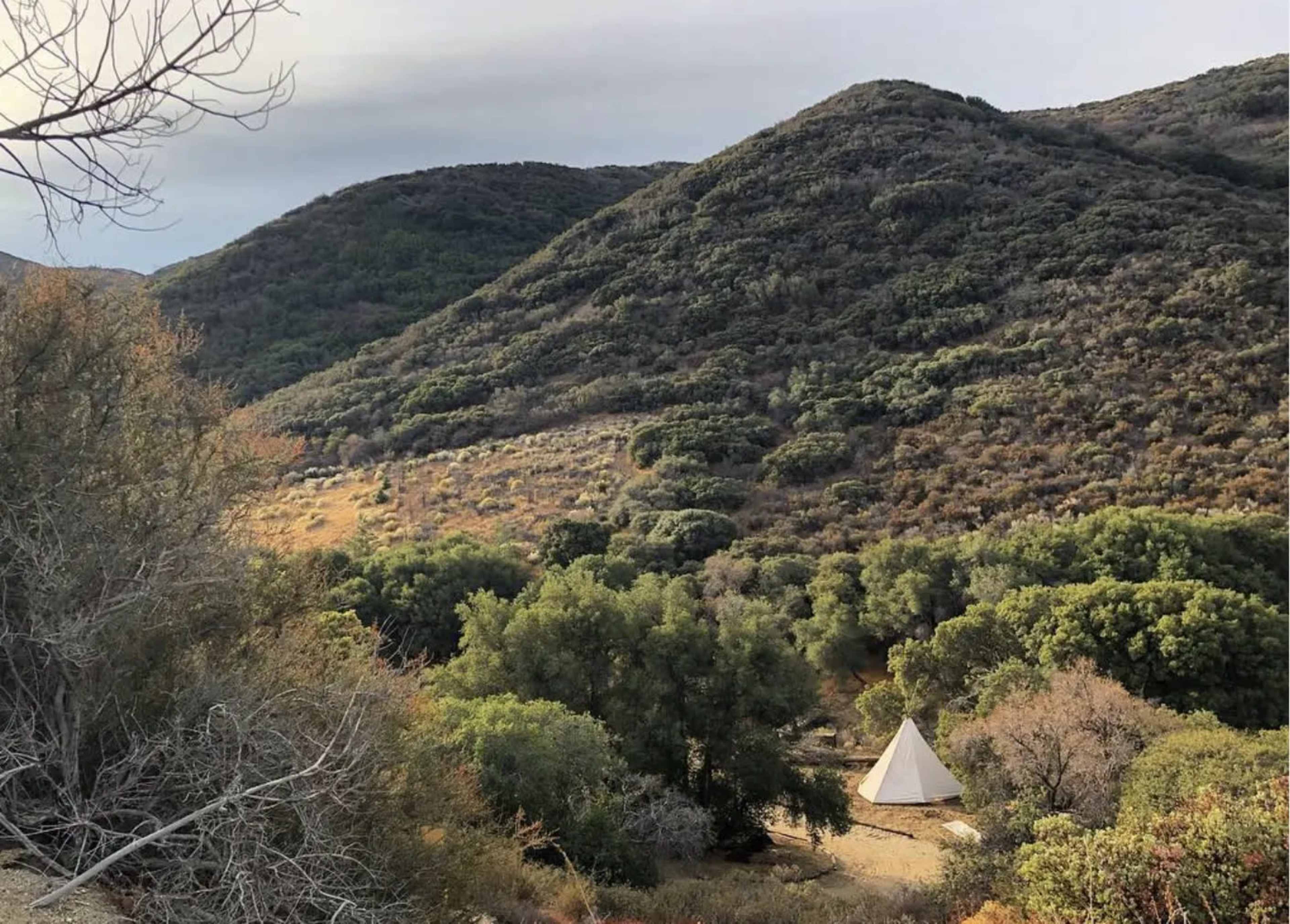Private Secluded Oak Forest Film Location - easy access Image in Leona Valley, Leona Valley, CA
