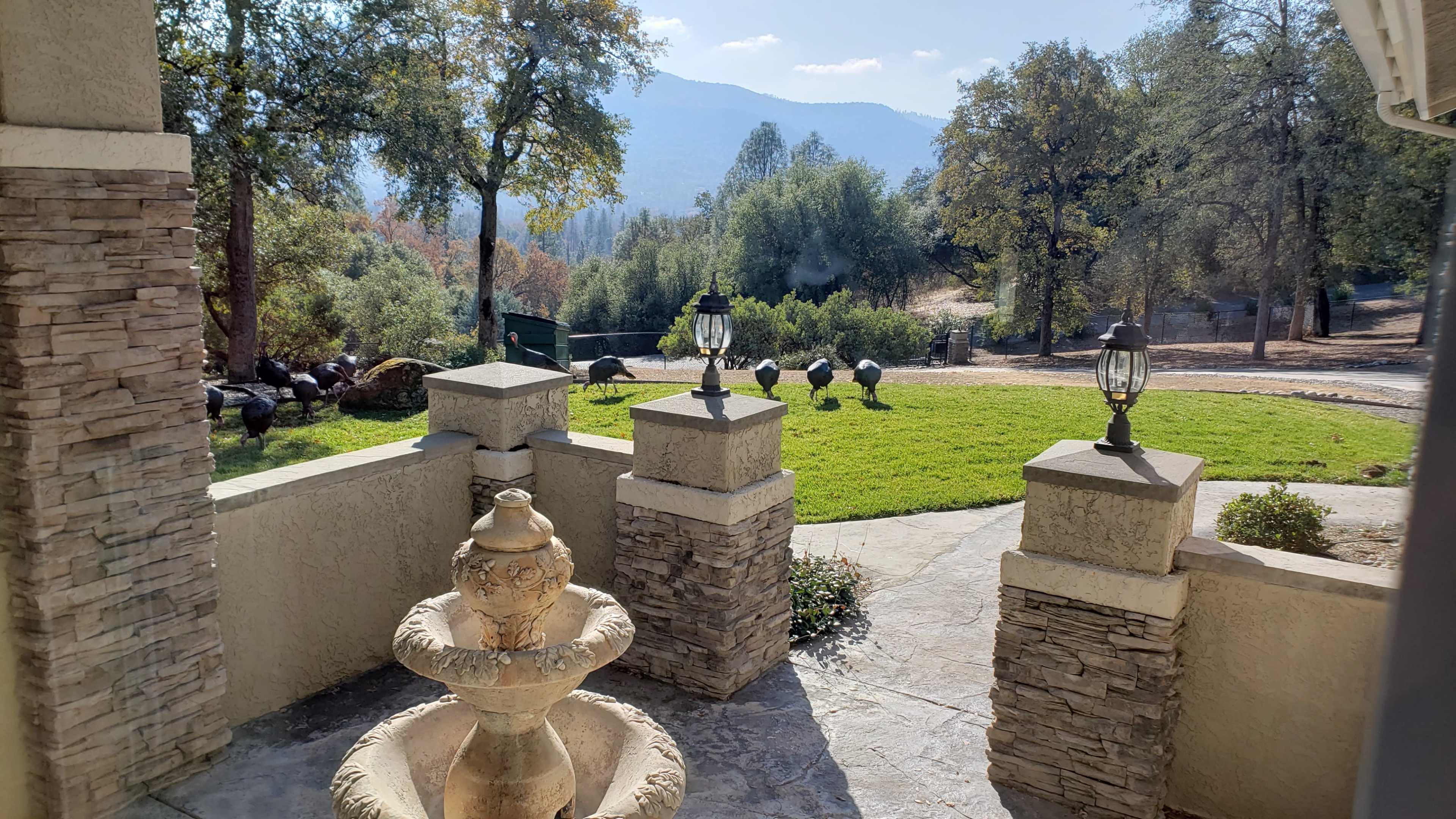 A stone fountain is positioned in the foreground, overlooking a grassy area with a row of turkeys and trees in the background under a partly cloudy sky.