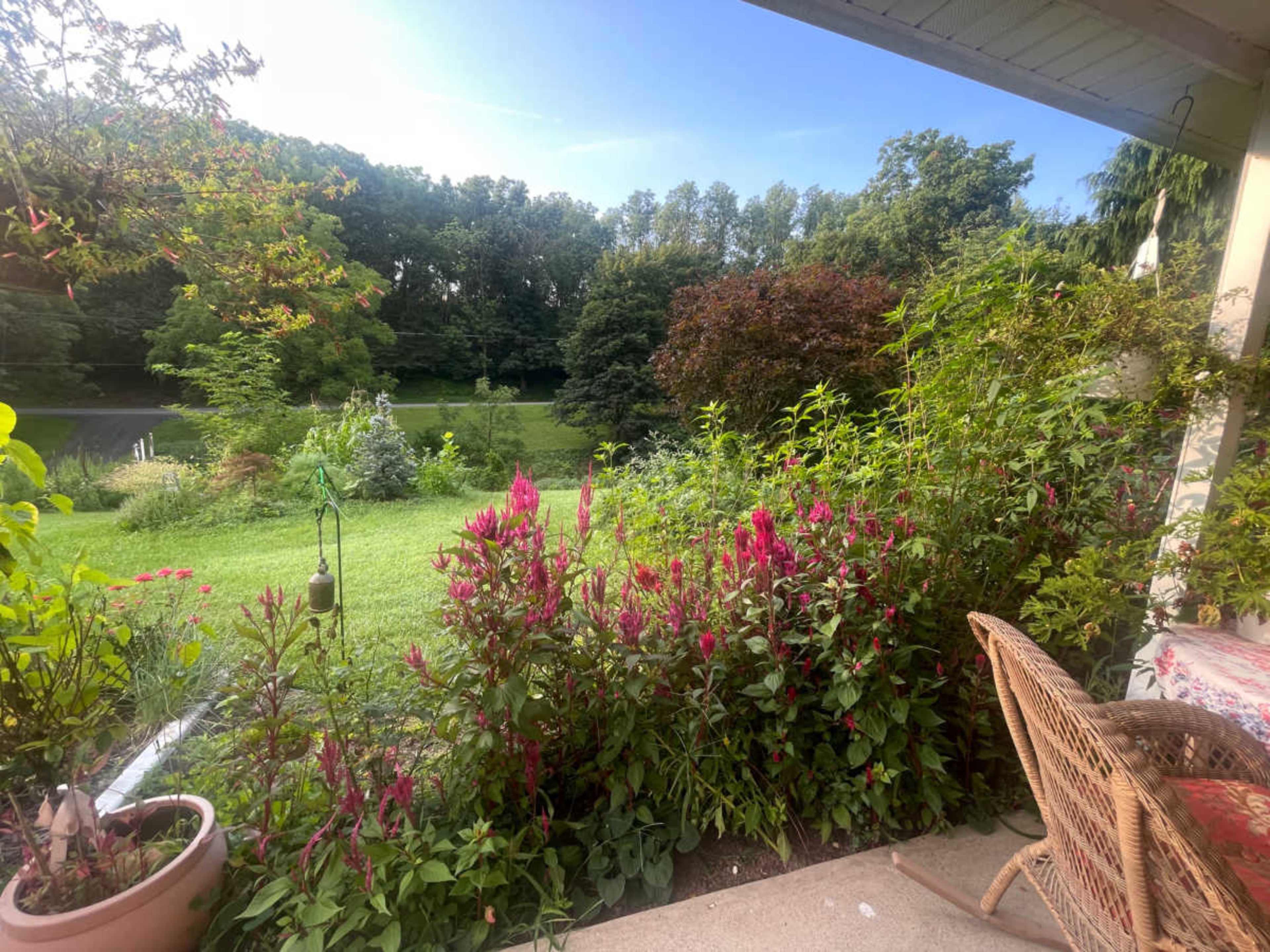 A lush garden with vibrant flowers and greenery overlooks a serene landscape of trees and a meadow.