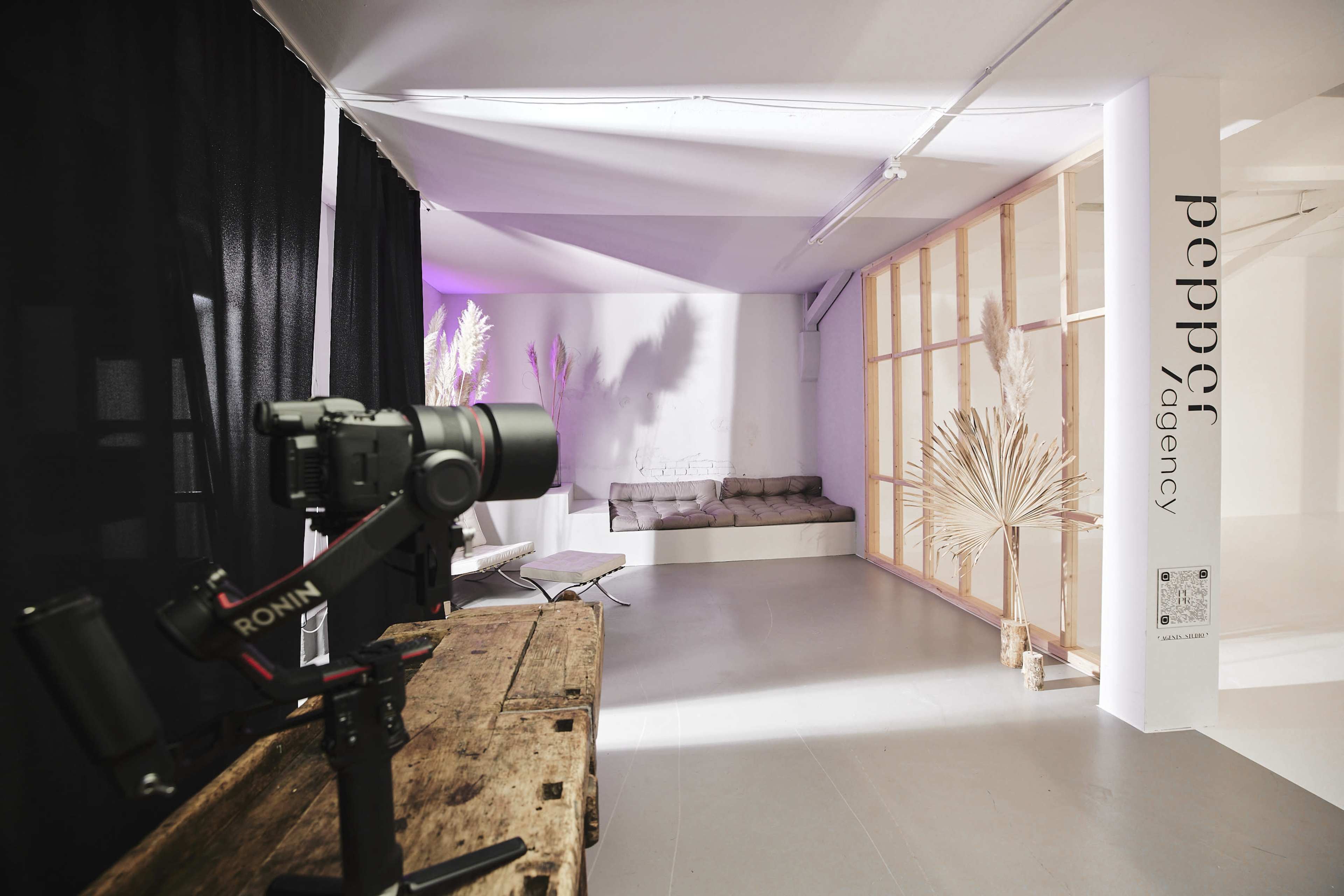 The image shows a modern studio space with a camera on a tripod, a sofa, and decorative plants against a backdrop of wood and fabric partitions.