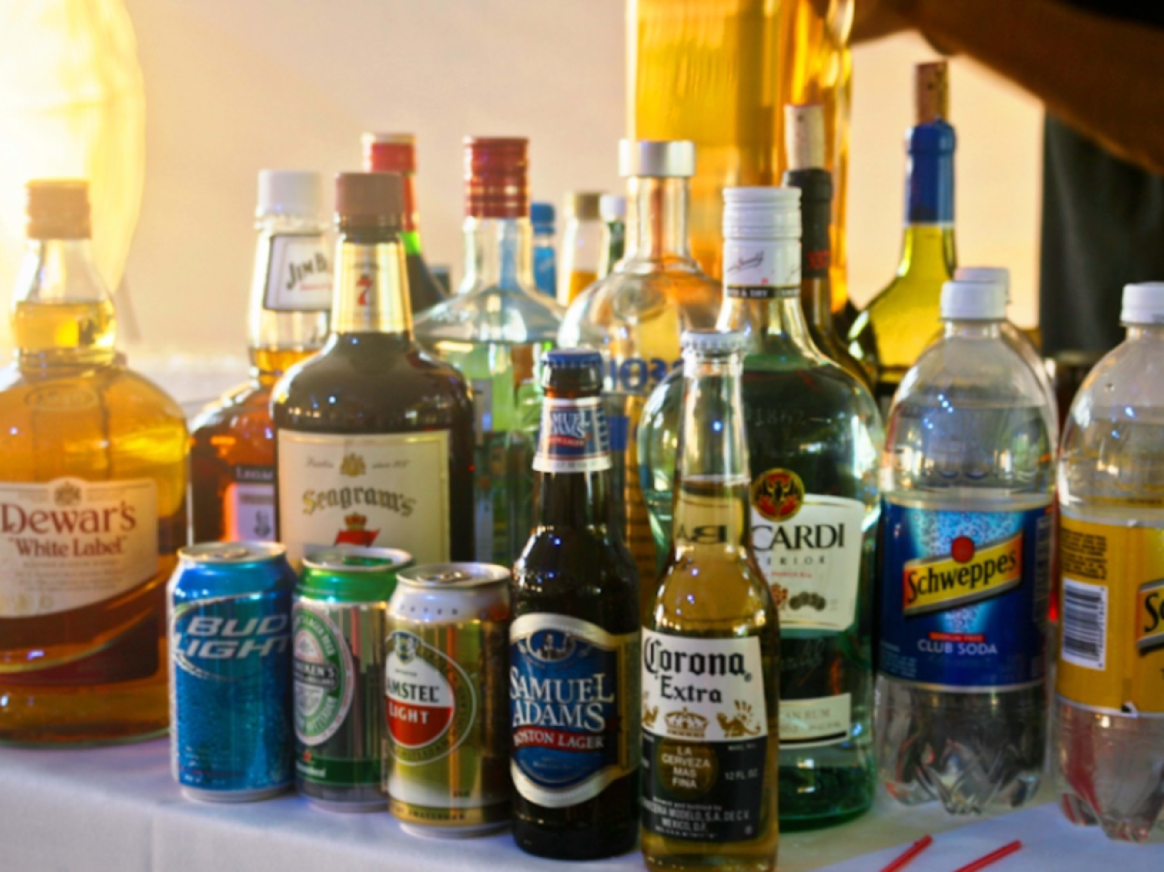 Professional Bartender