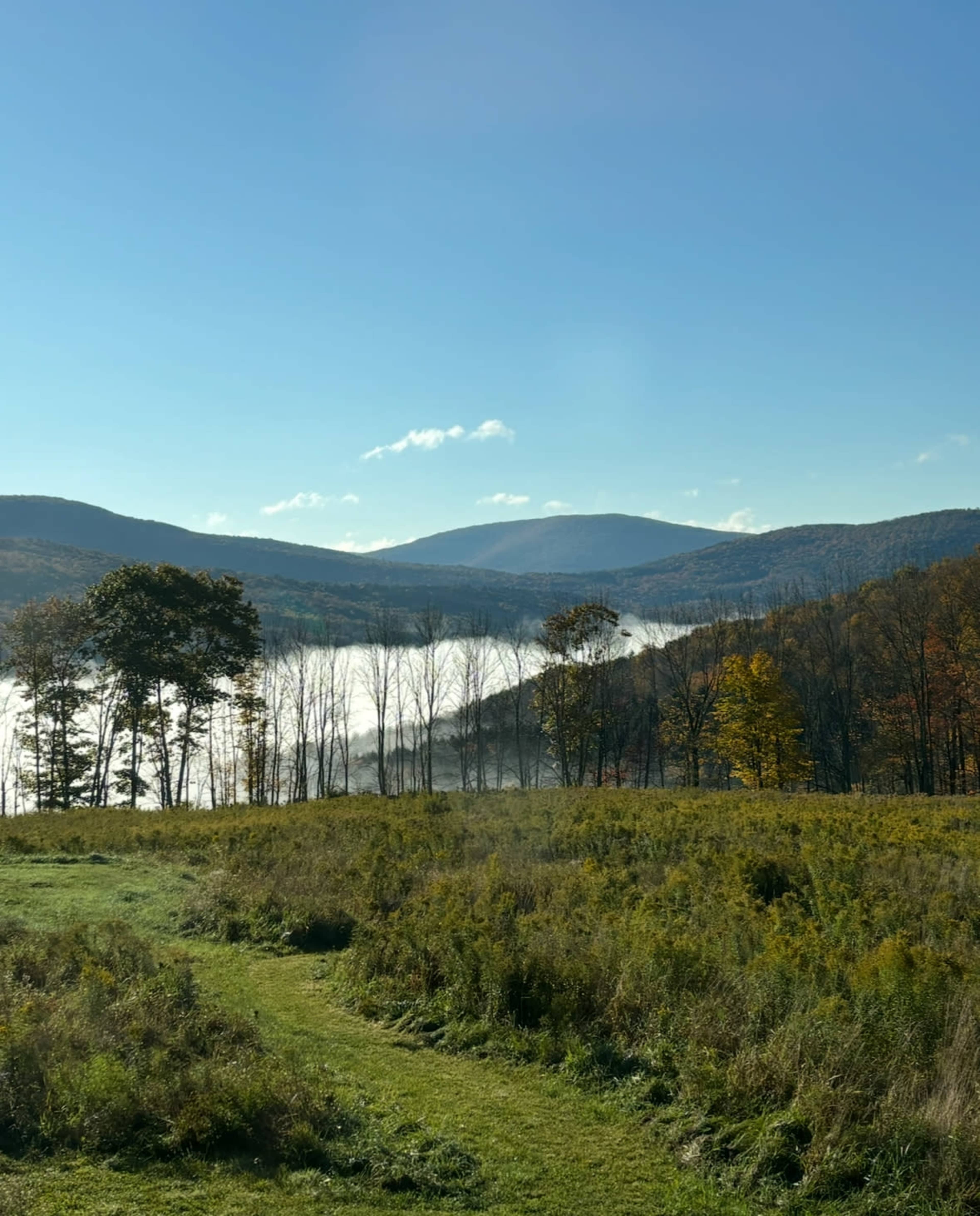 Rural retreat with stunning Mountain View Image in Middletown, Halcottsville, NY
