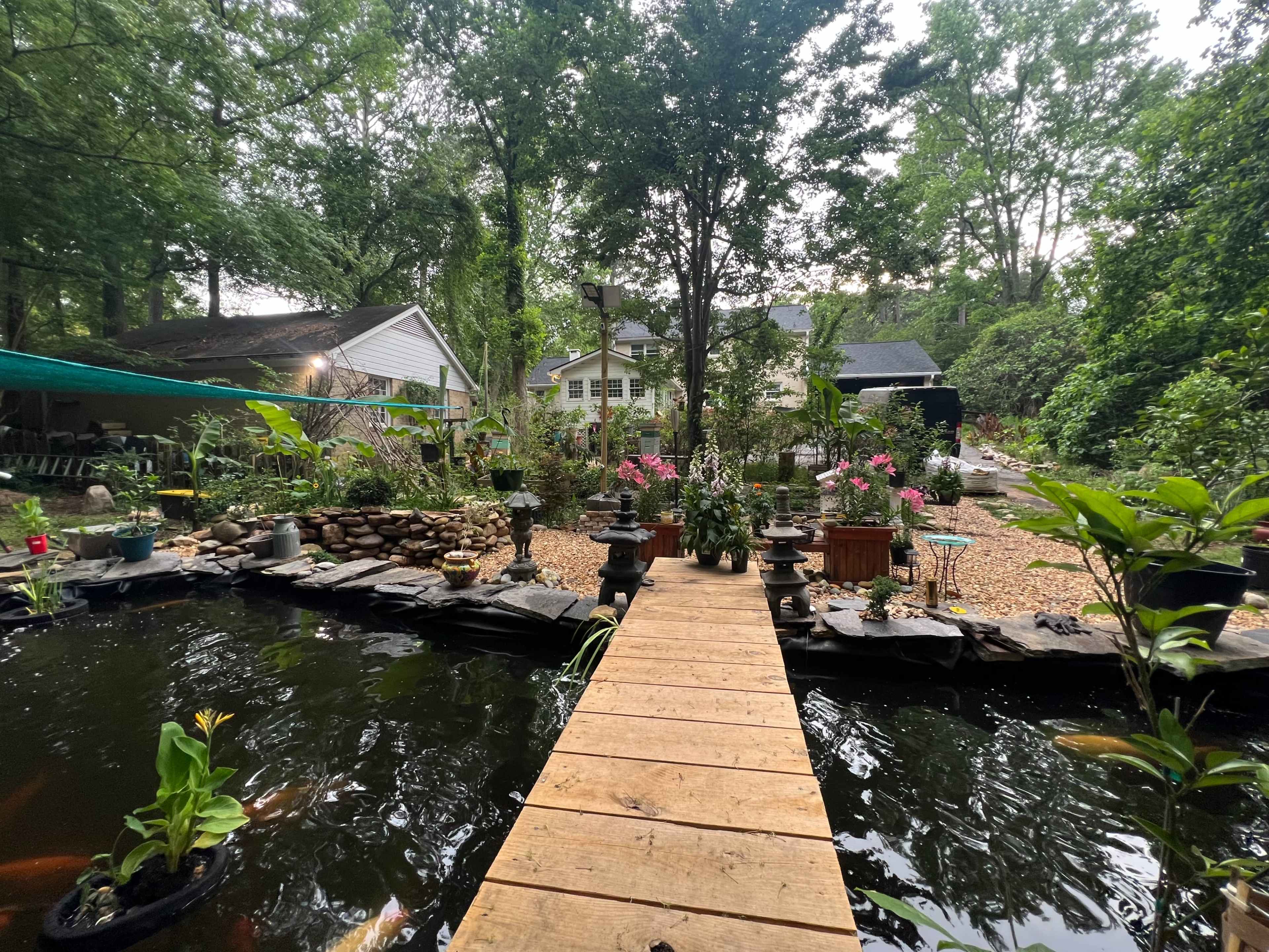 A wooden bridge crosses a pond surrounded by plants and flower beds in a garden setting.