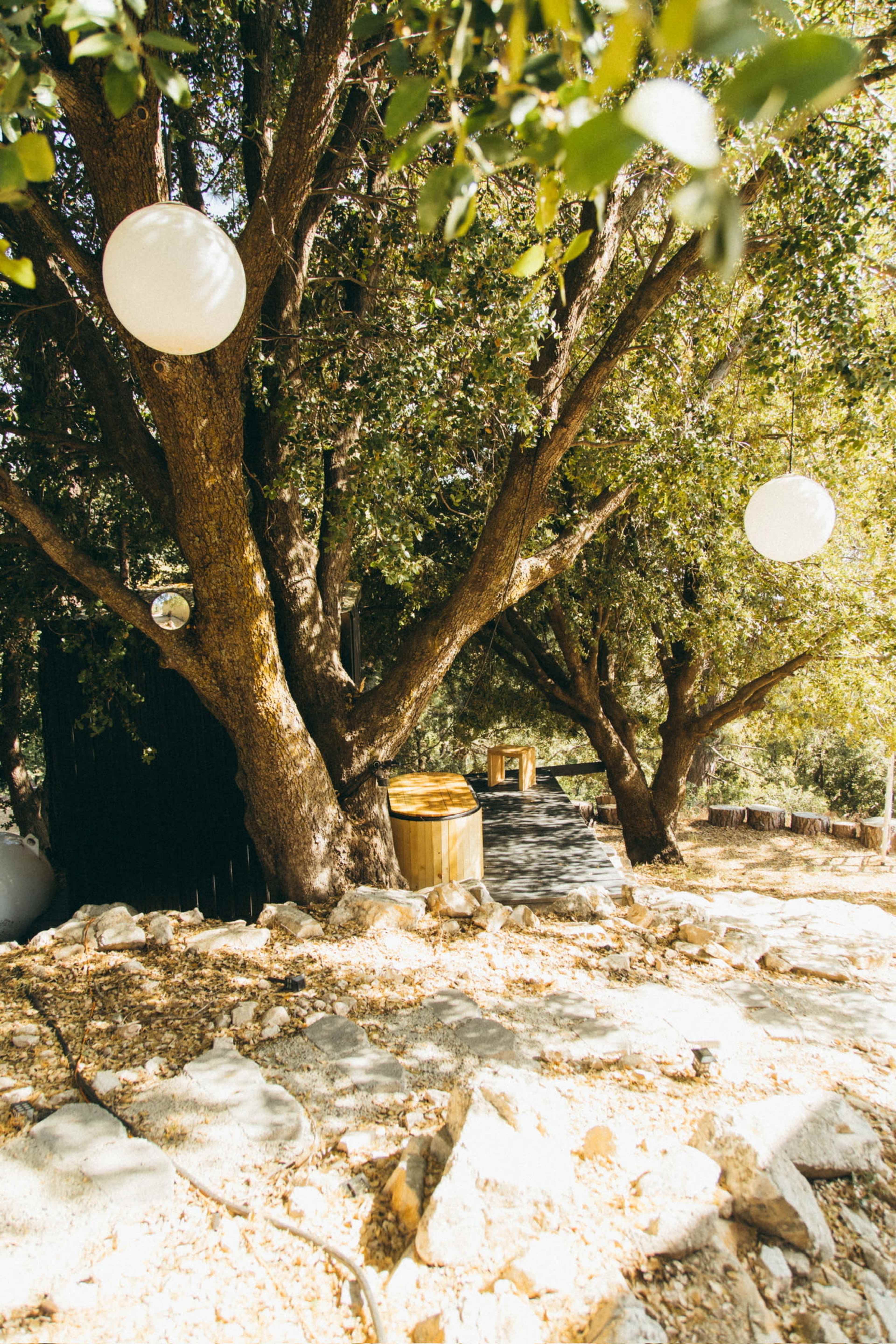 The scene features a pathway lined with trees adorned with round white lanterns, leading to a wooden barrel and a distant structure.