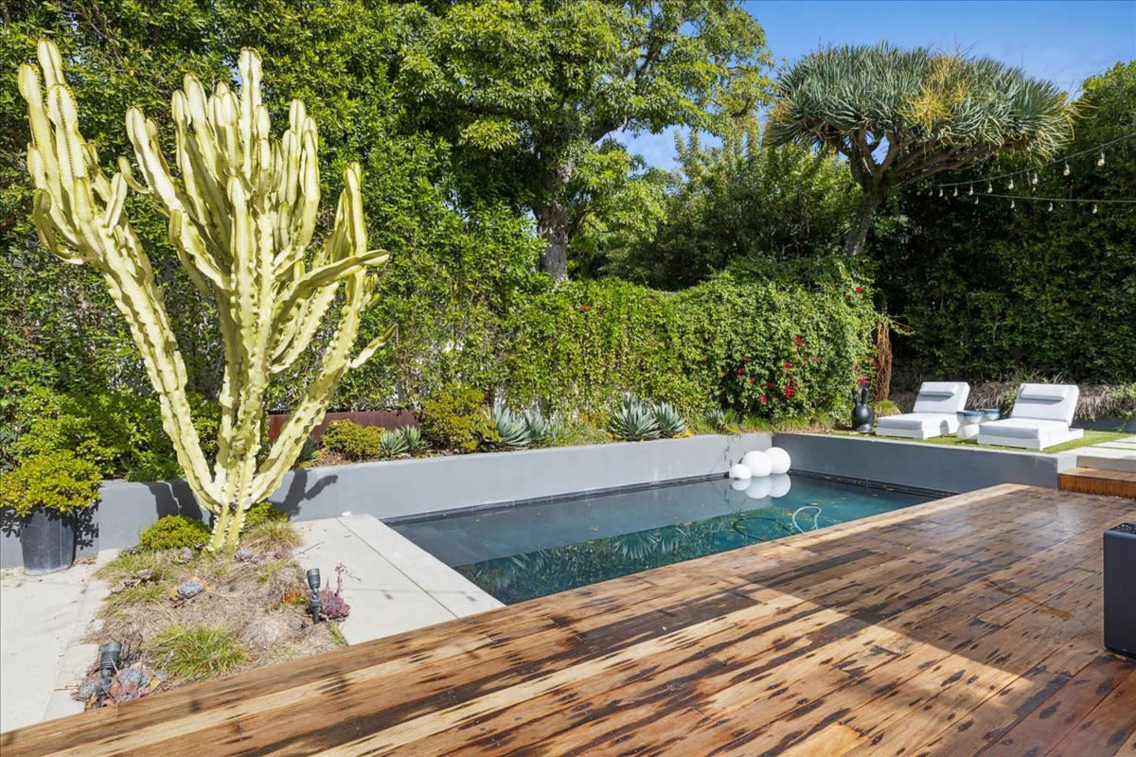 The image shows a modern backyard featuring a rectangular swimming pool, surrounded by greenery and a large cactus, with wooden decking and lounge chairs nearby.