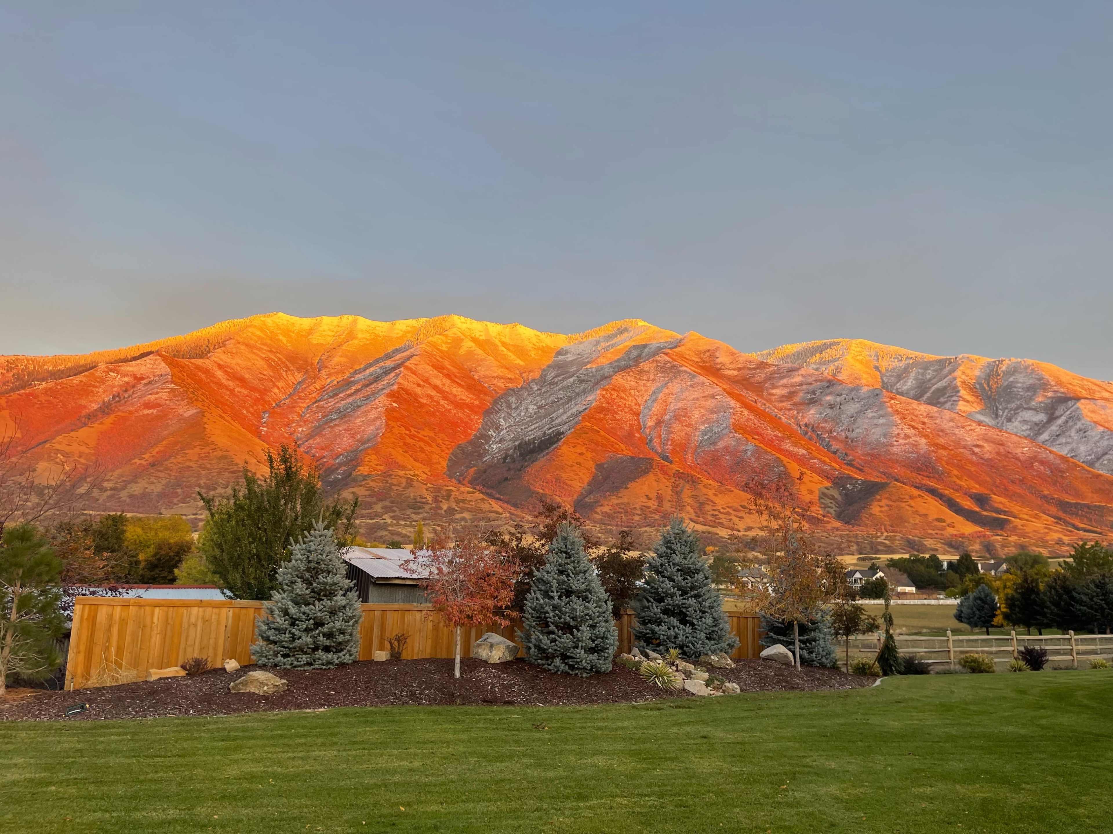 A mountainous landscape with colorful autumn foliage, framed by a green lawn and several coniferous trees in the foreground.