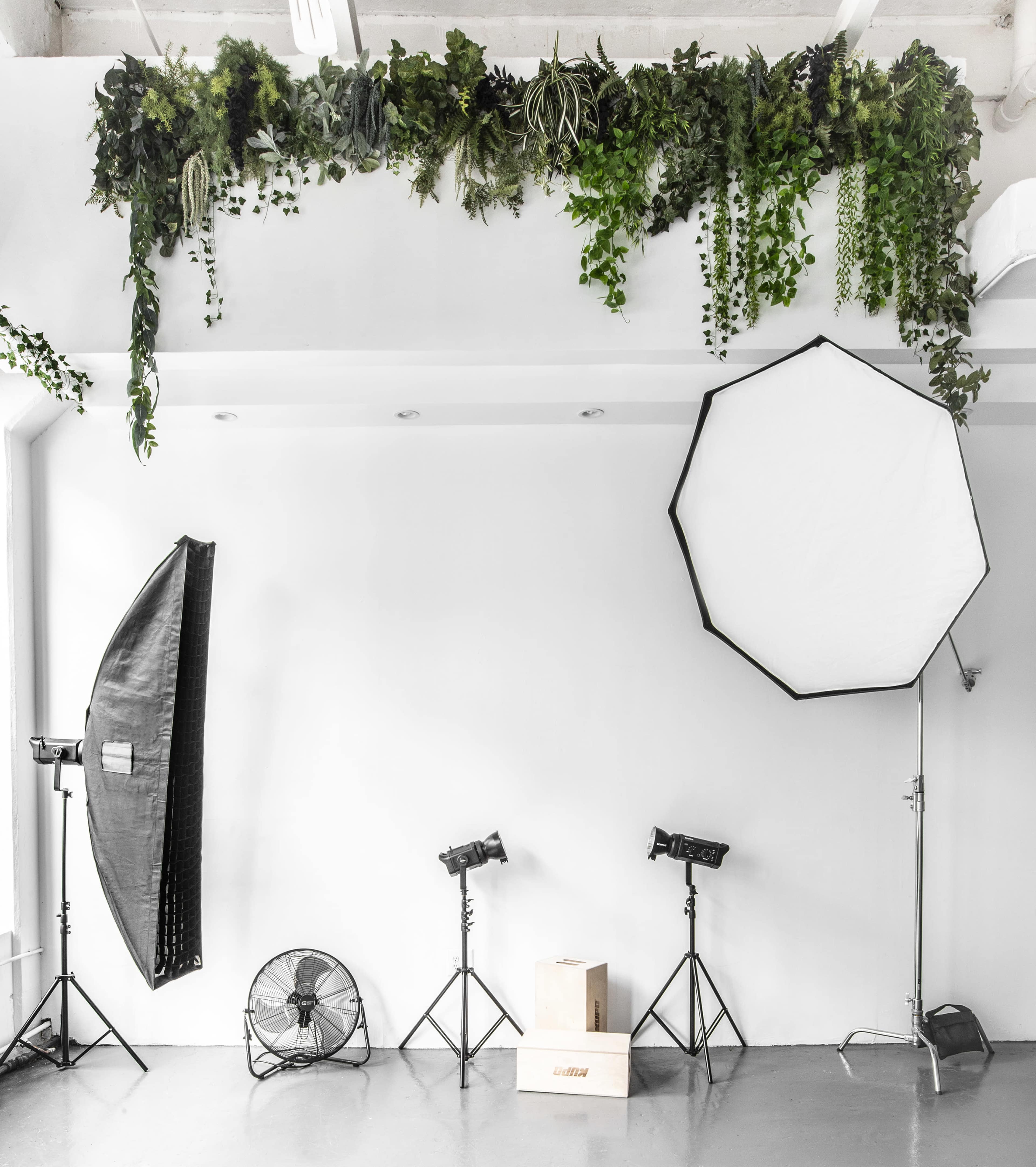 A well-lit photography studio with a backdrop of greenery, multiple light sources, and a fan.
