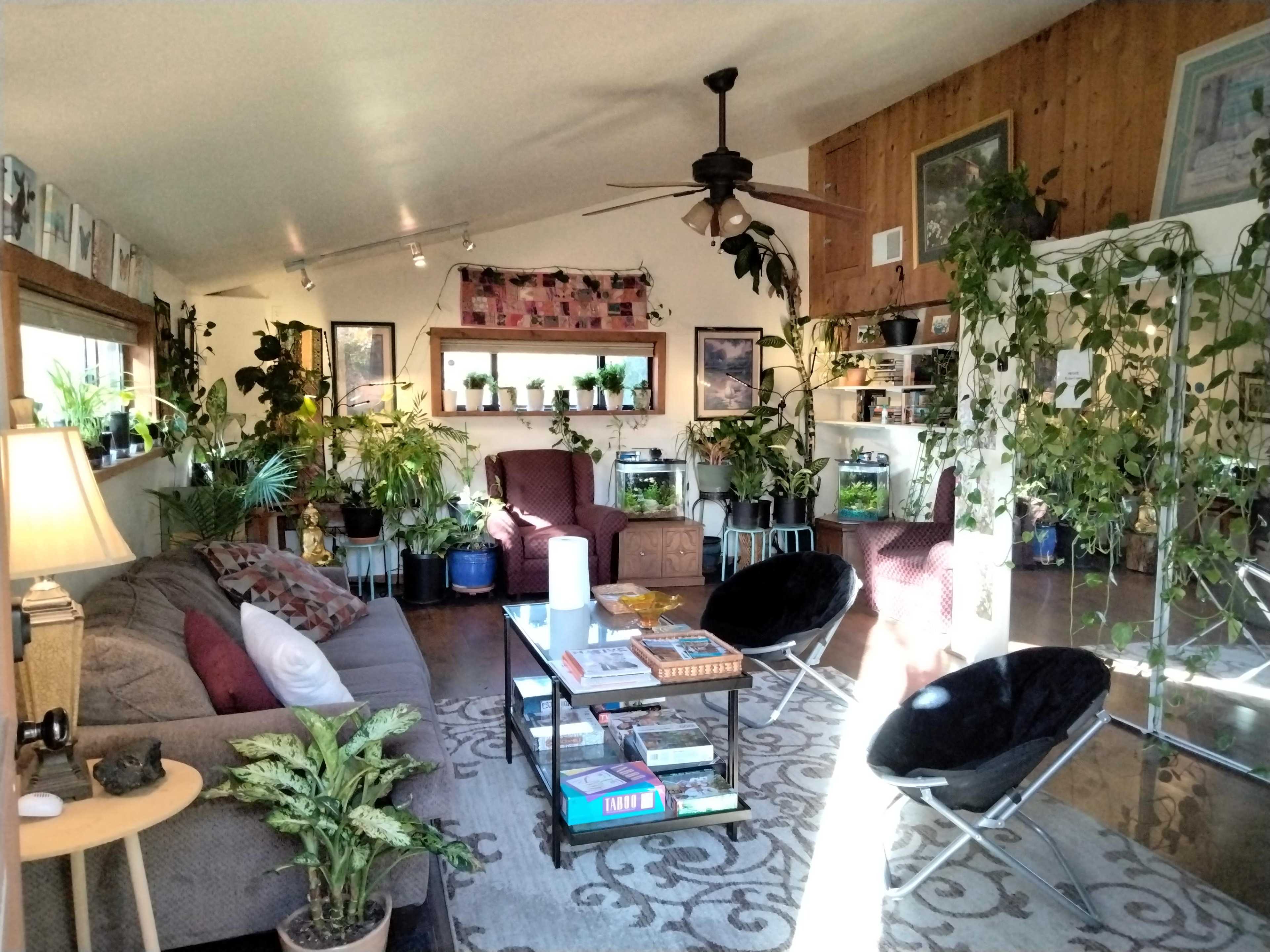 The room features a cozy seating area with plants lining the walls, a coffee table stacked with books, and large windows allowing natural light to fill the space.